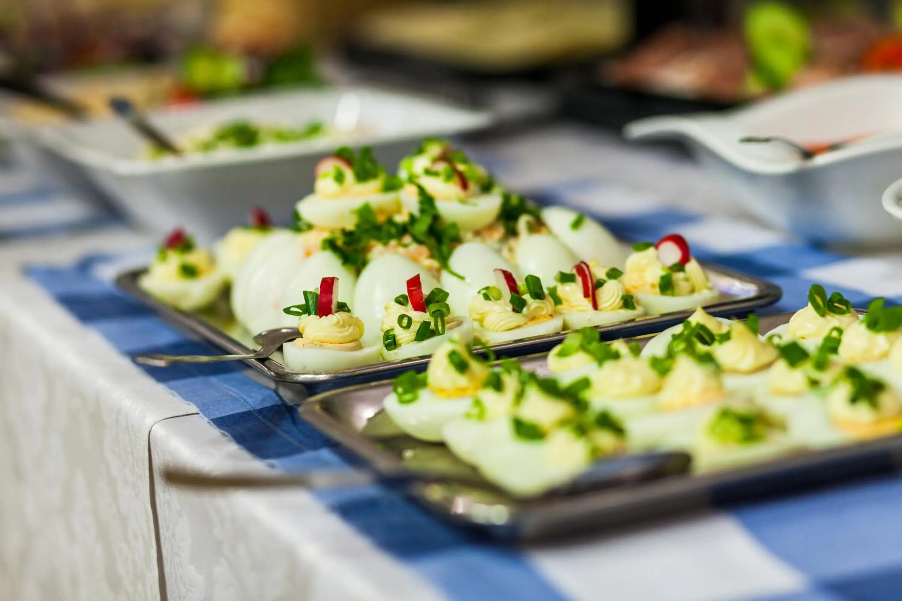 Restaurant/places to eat in Hotel Olivia