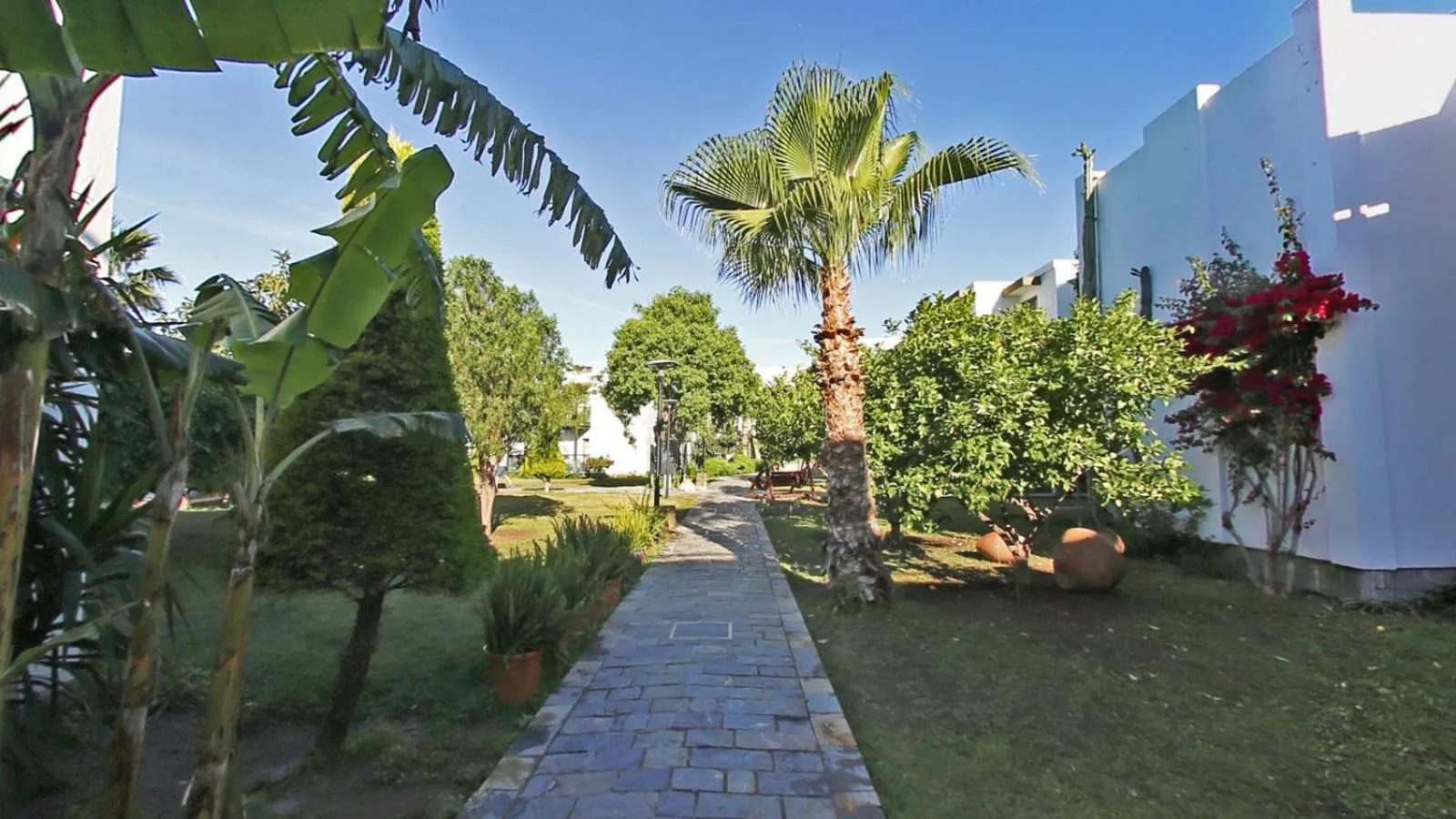 Garden in Parkim Ayaz Hotel