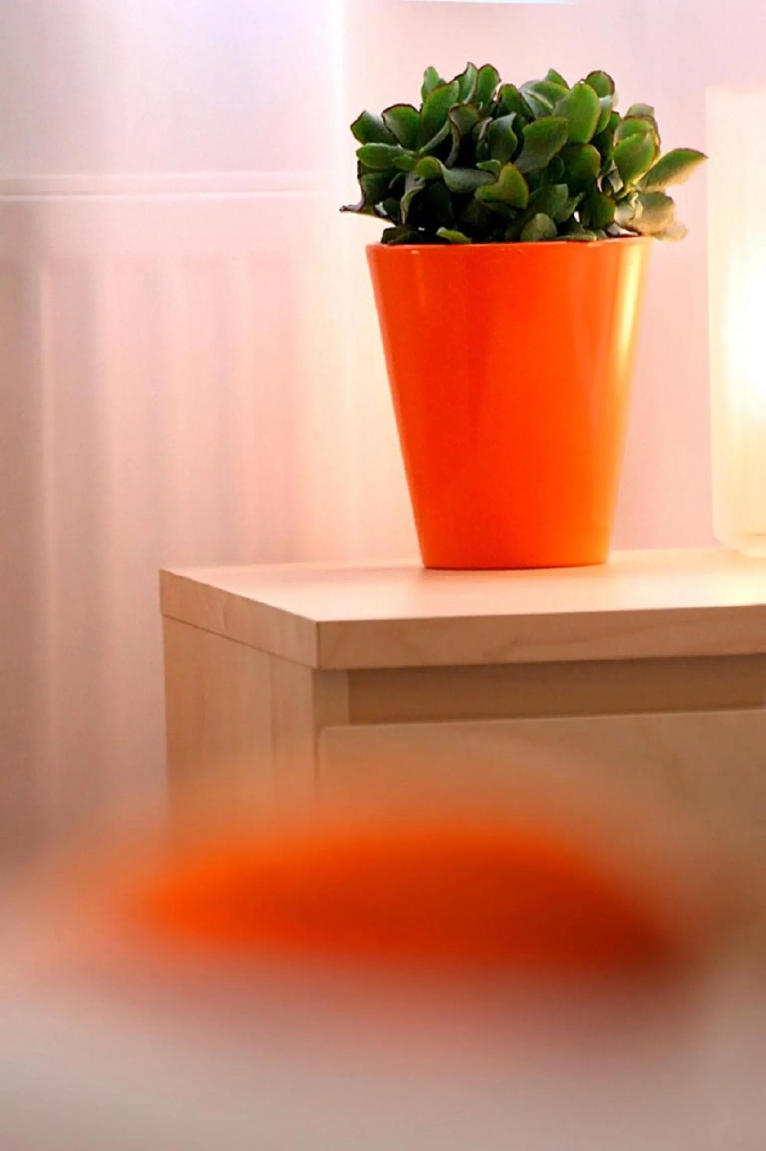 Other in Apartamenty Pomarańczarnia