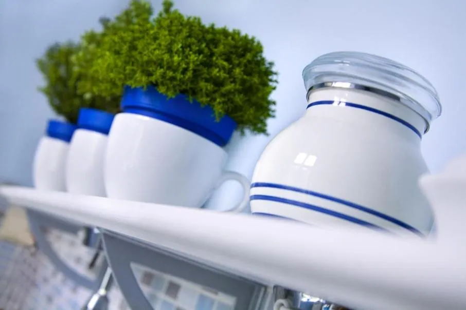 Apartamenty Pomarańczarnia