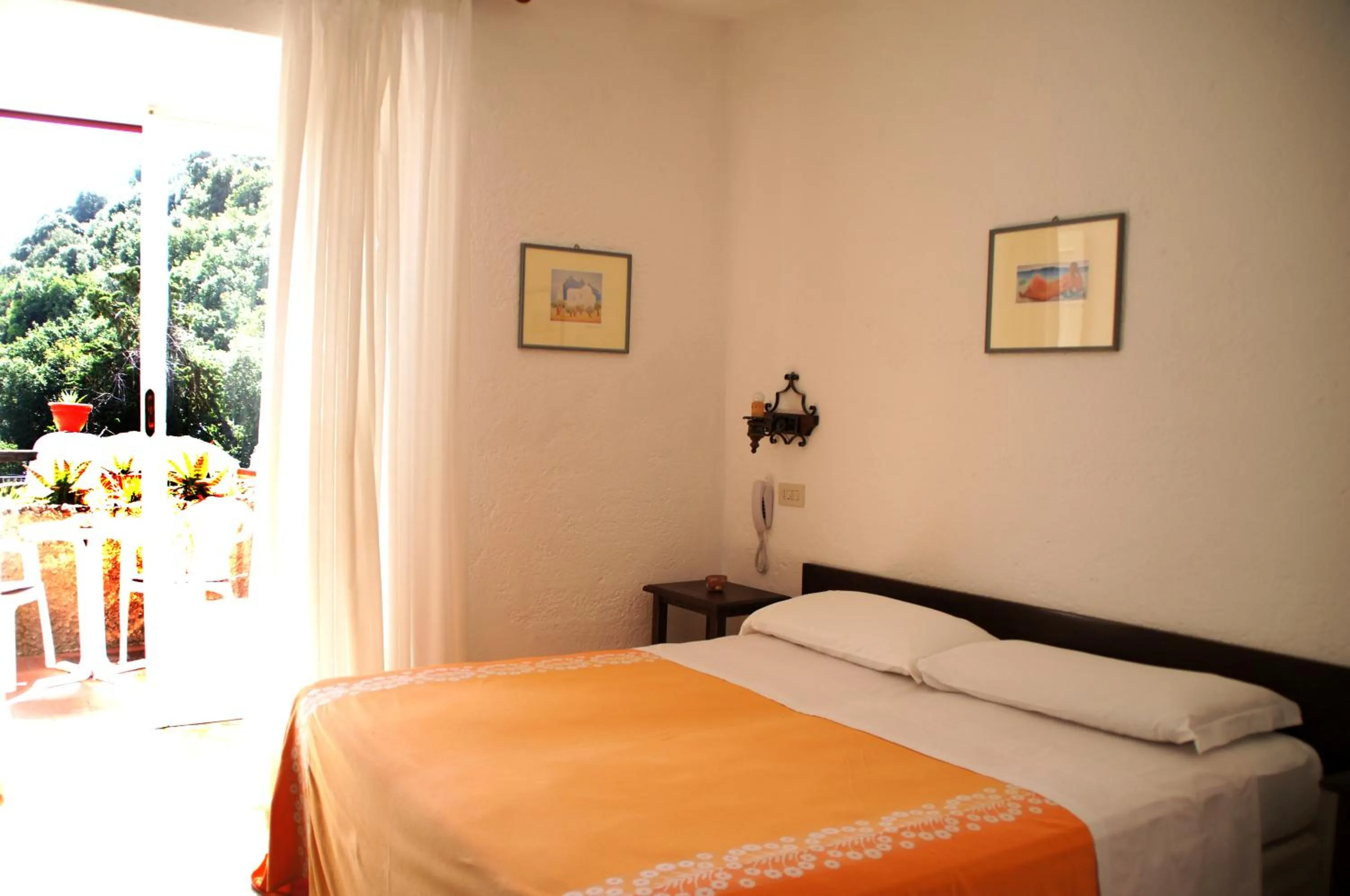 Double Room in Hotel Don Pedro
