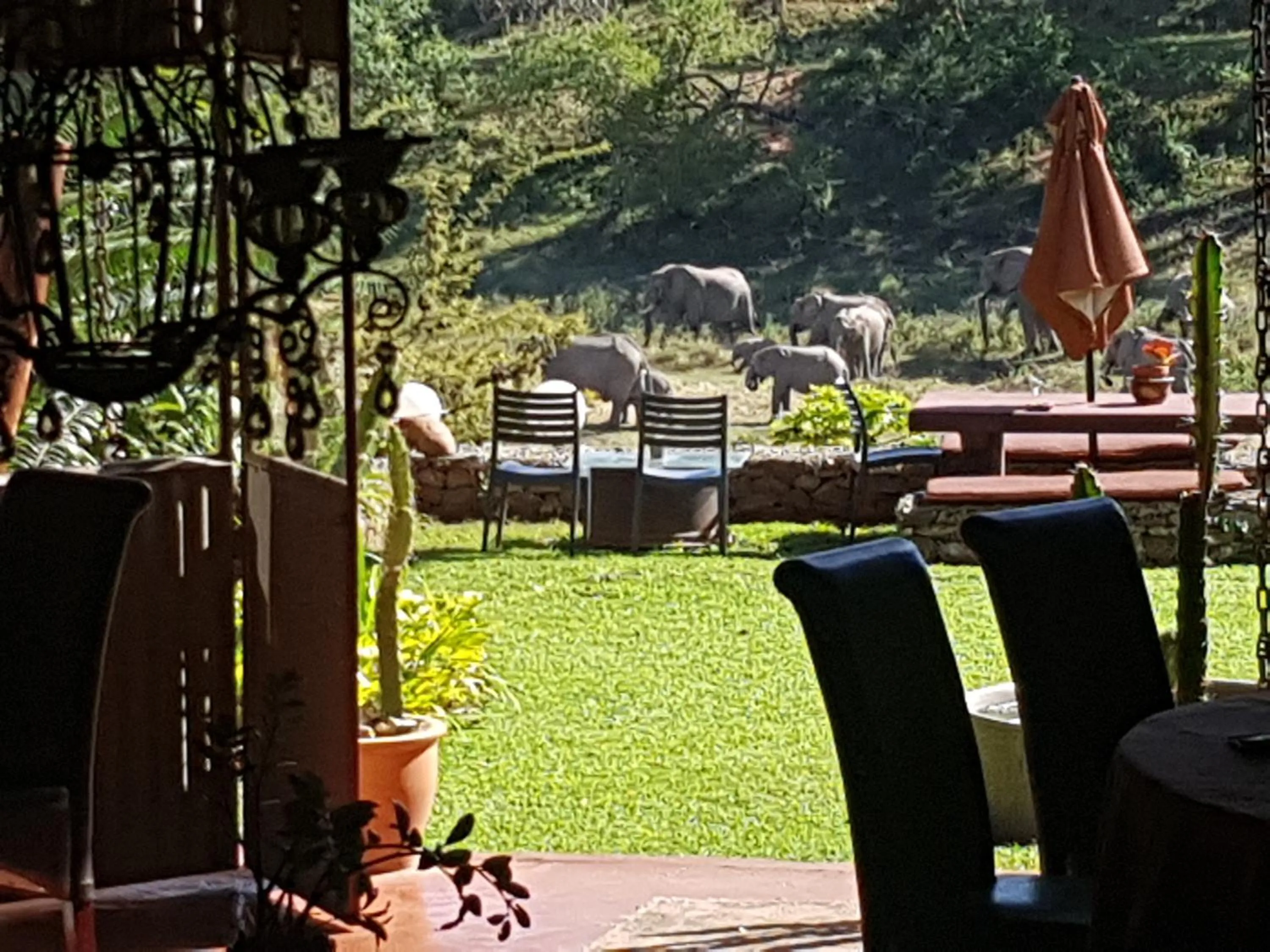 Natural landscape in River House Lodge