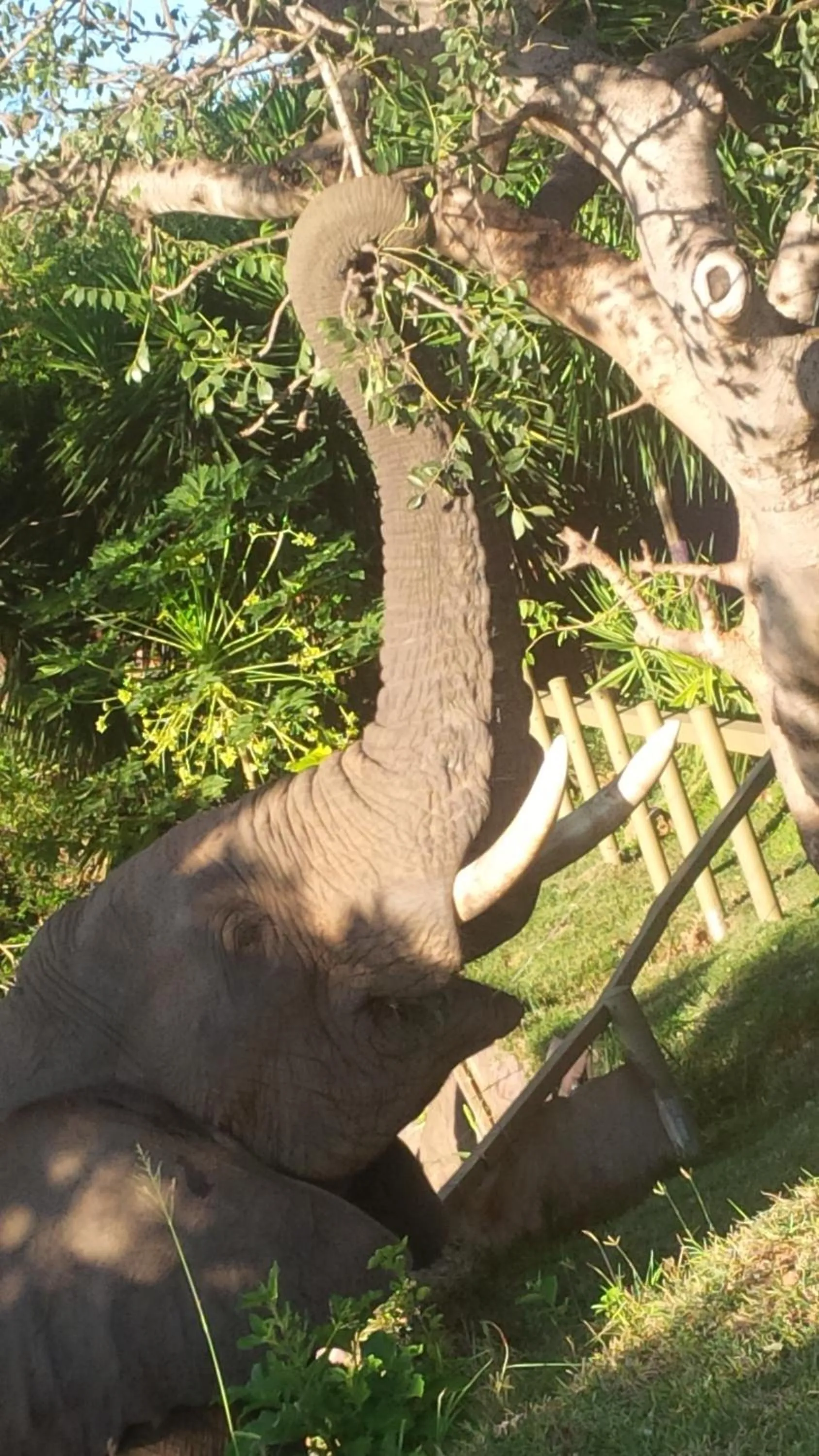 Property building in River House Lodge