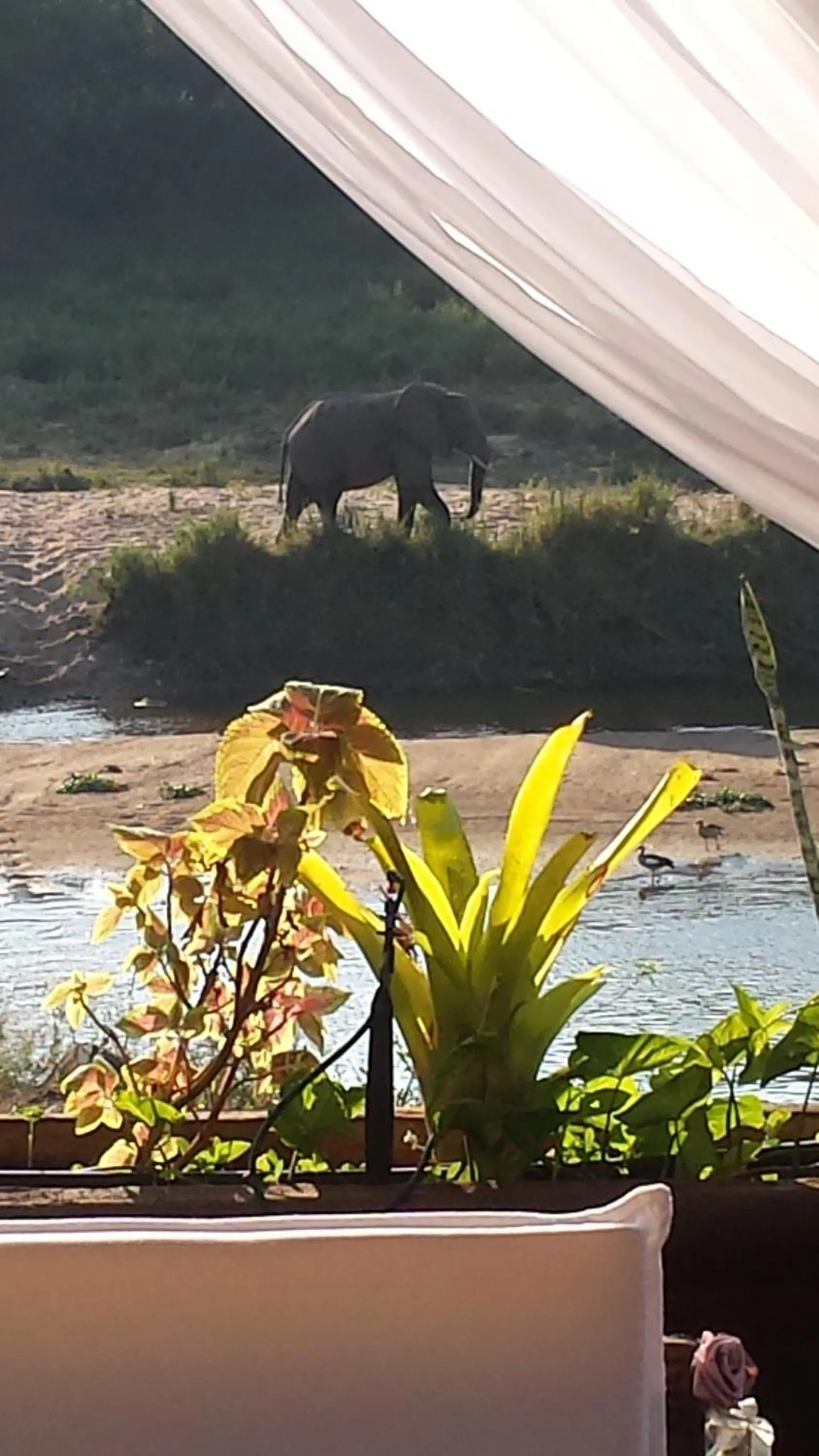 Property building in River House Lodge