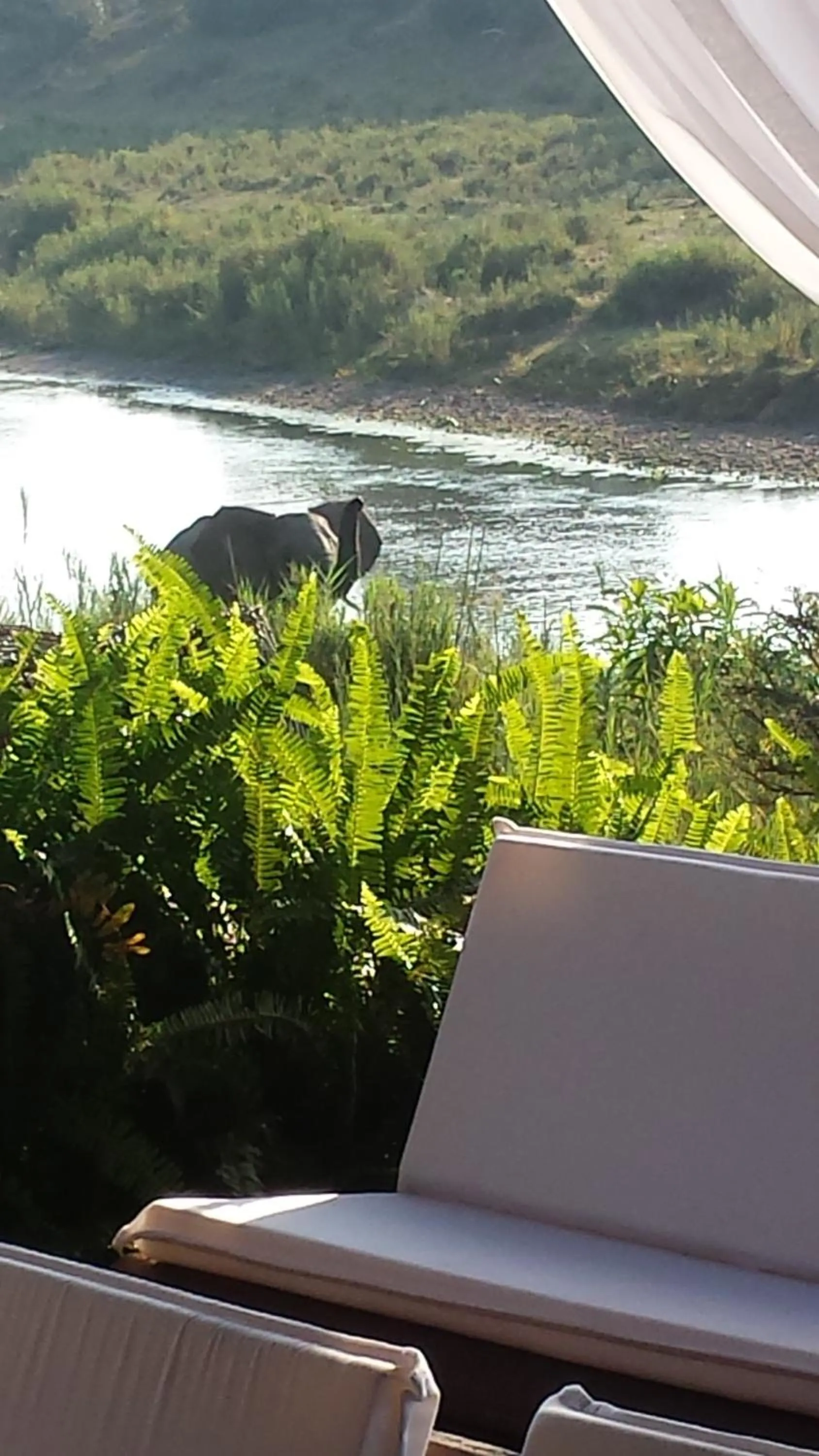 Property building in River House Lodge