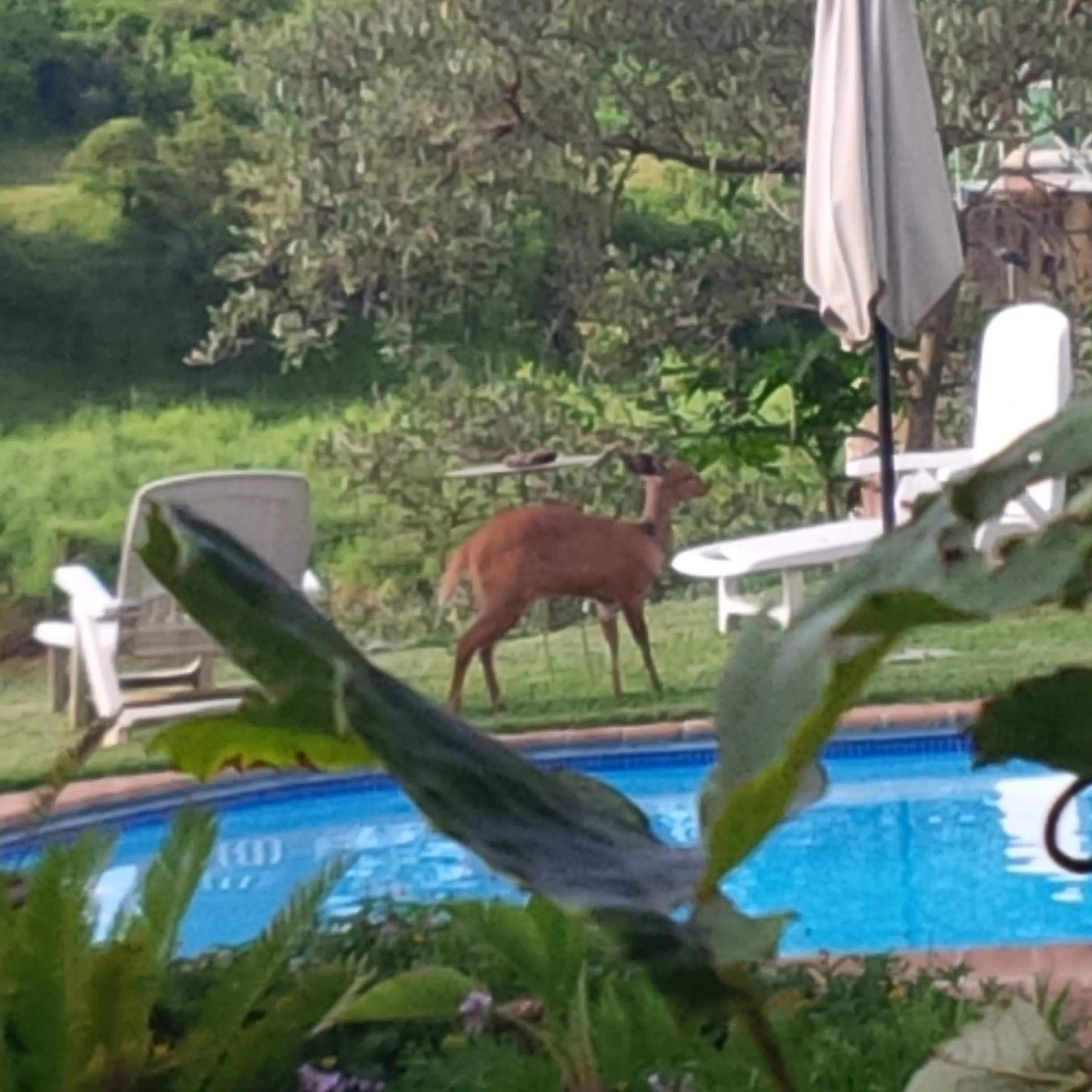 Property building in River House Lodge