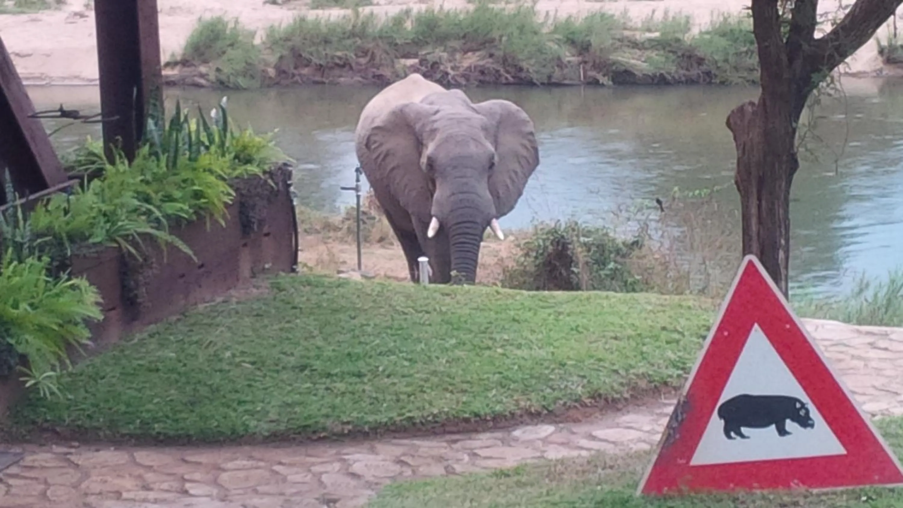 Property building in River House Lodge