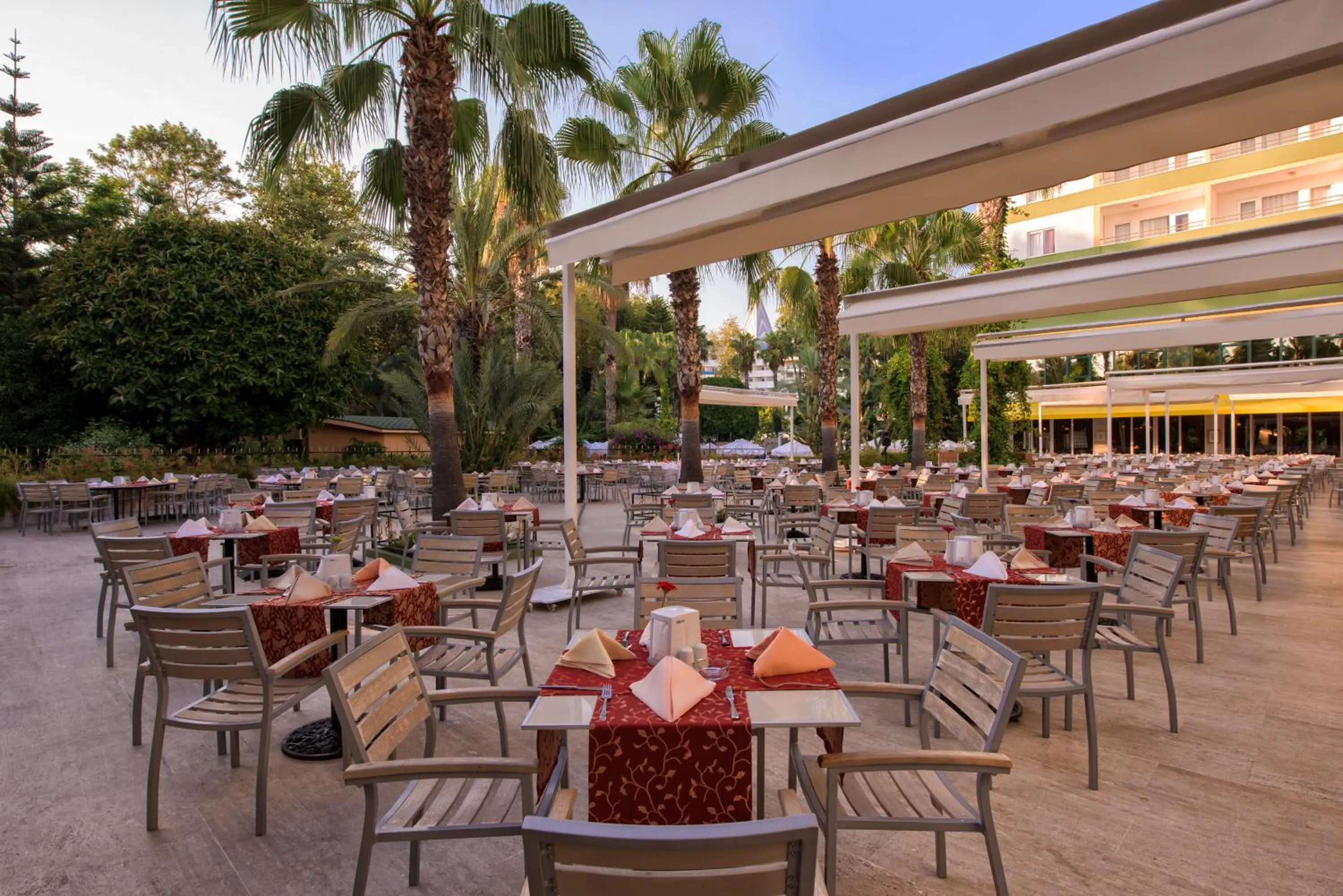 Balcony/Terrace in Botanik Hotel