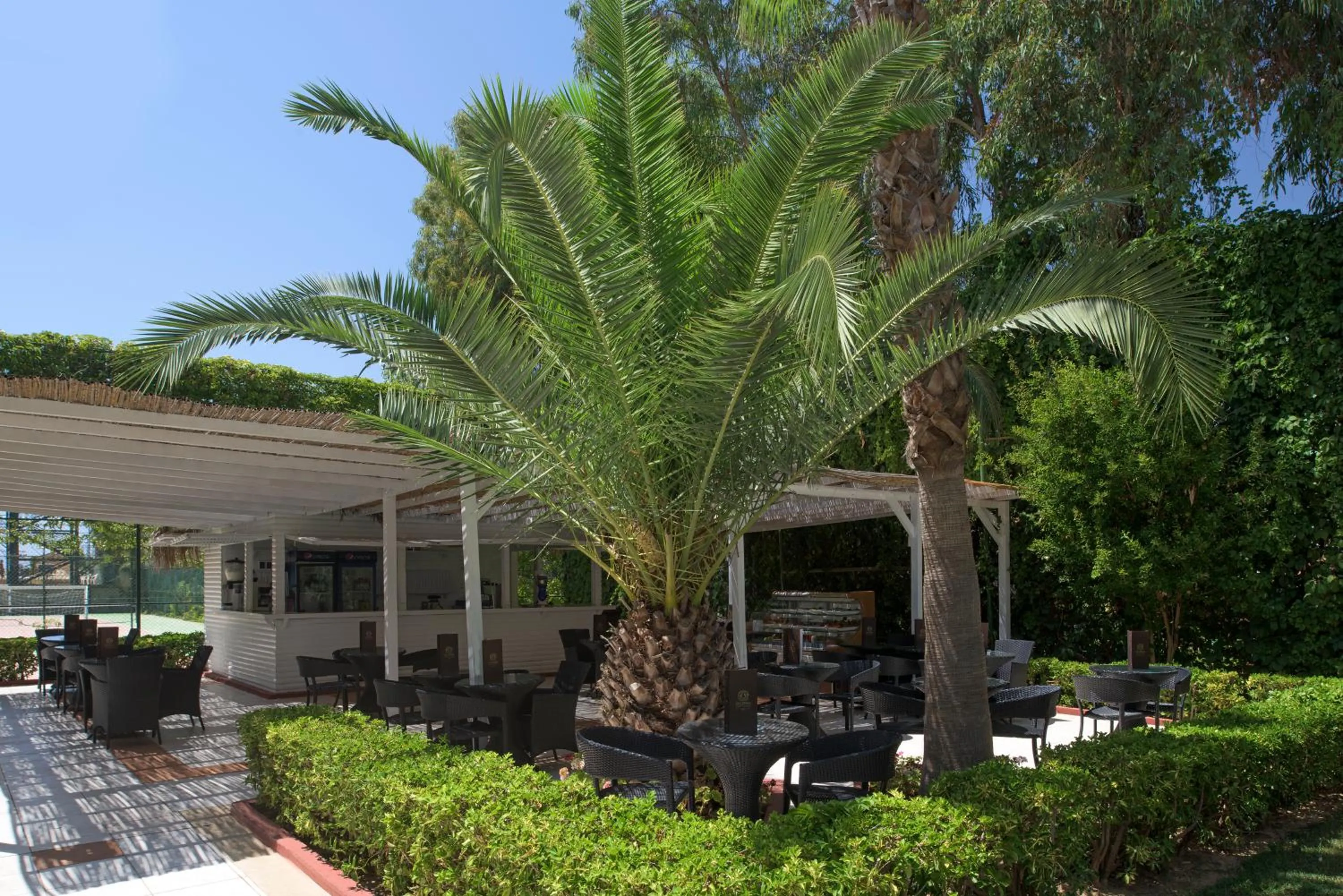 Alcoholic drinks in Delphin Deluxe Resort