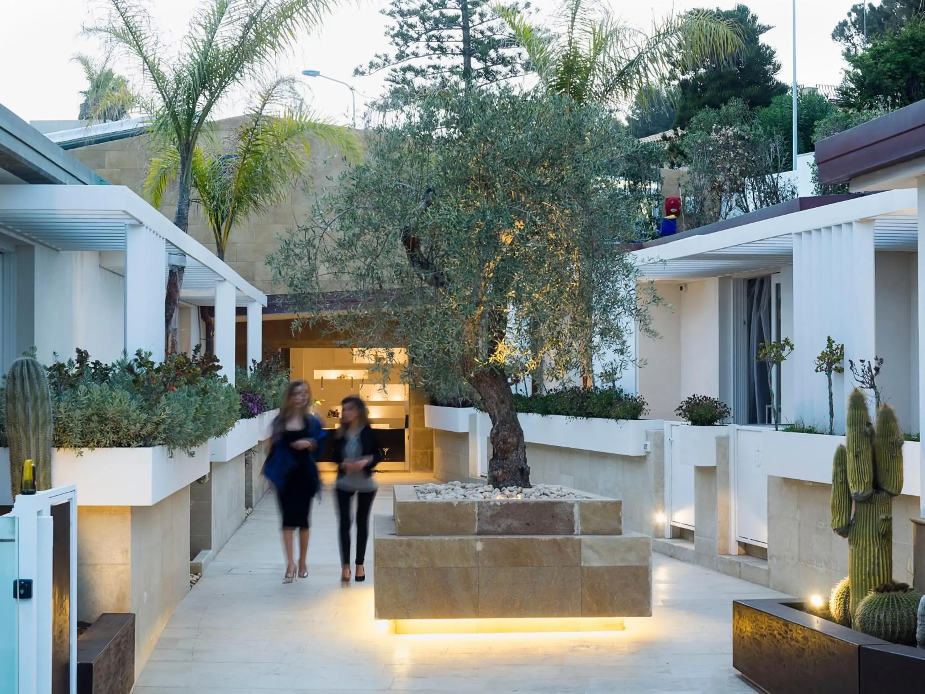 Double Room with Patio in White Bay Double Room with Patio in White Bay