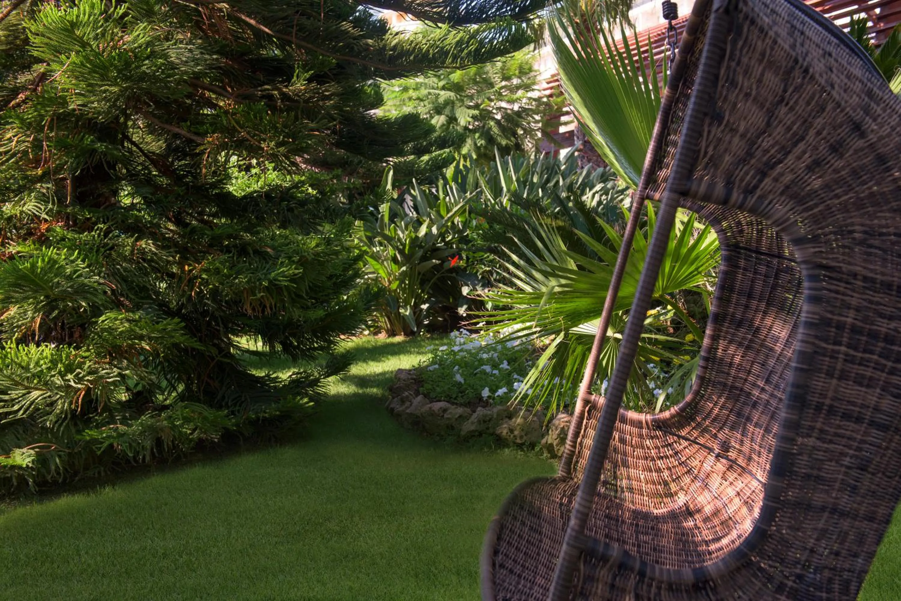 Garden in Delphin Diva Premiere