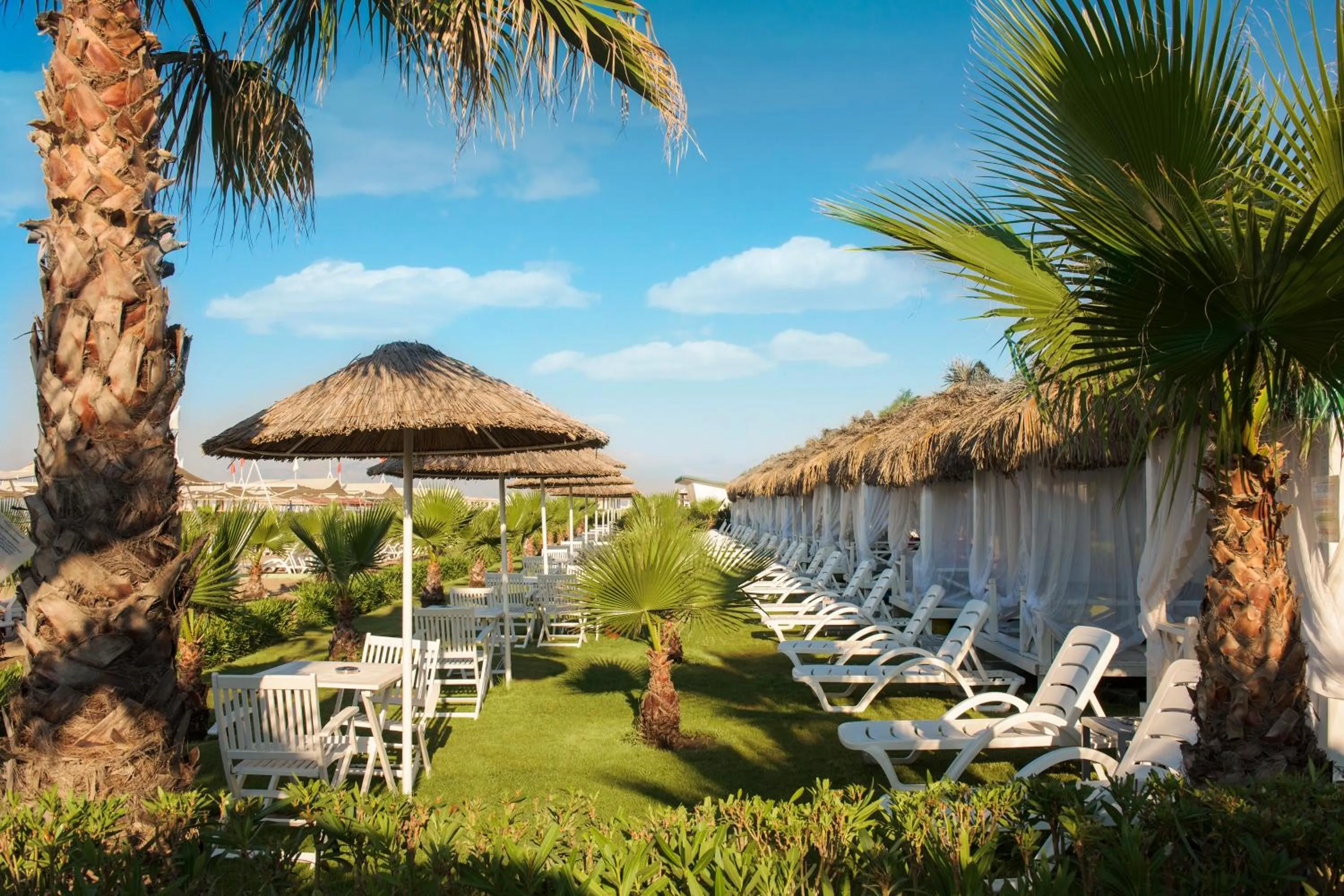 Garden in Delphin Diva Premiere