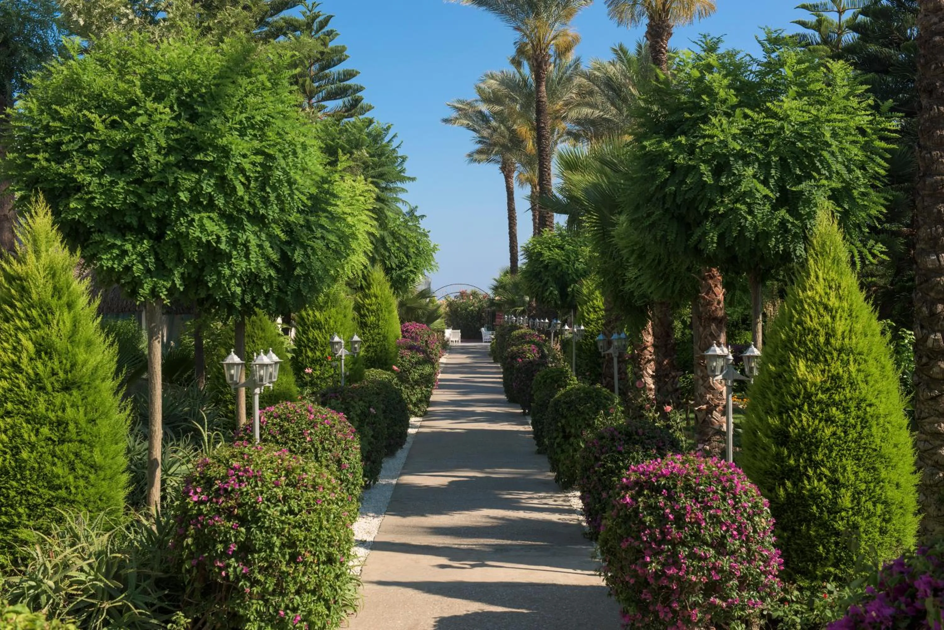 Garden in Delphin Diva Premiere