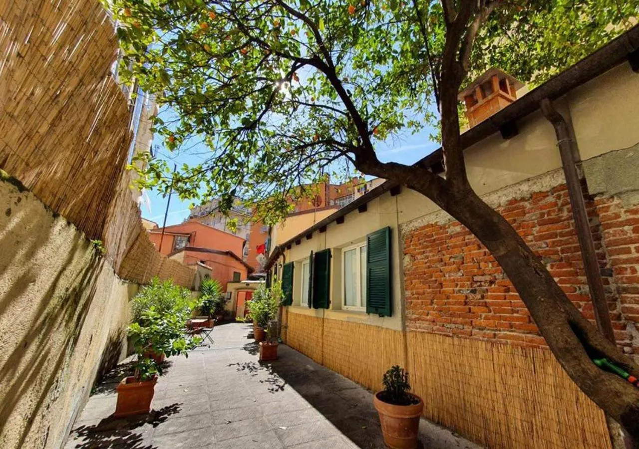 Patio in Boutique Hotel Novecento