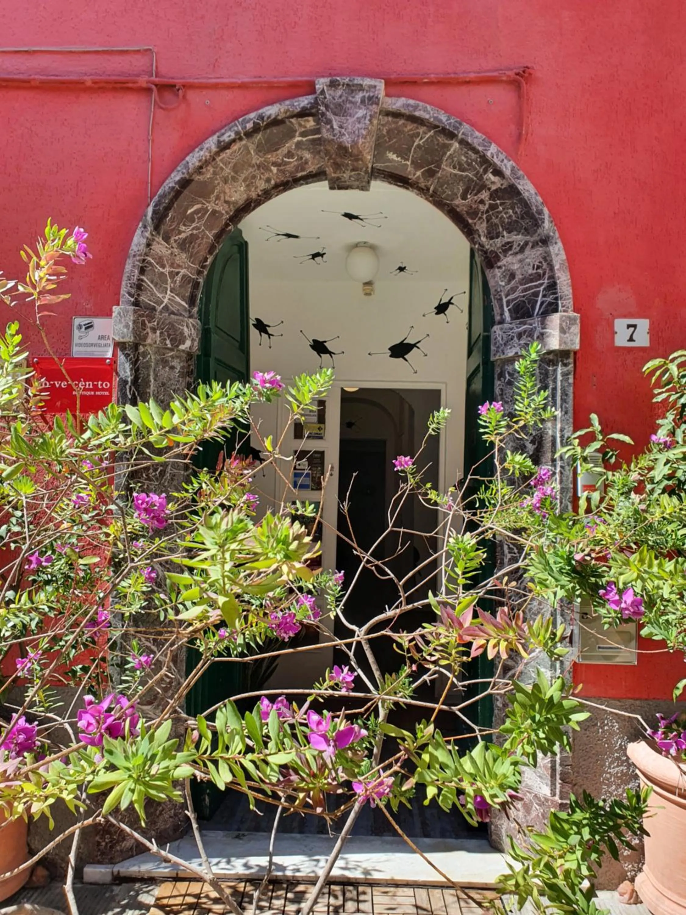 Garden in Boutique Hotel Novecento