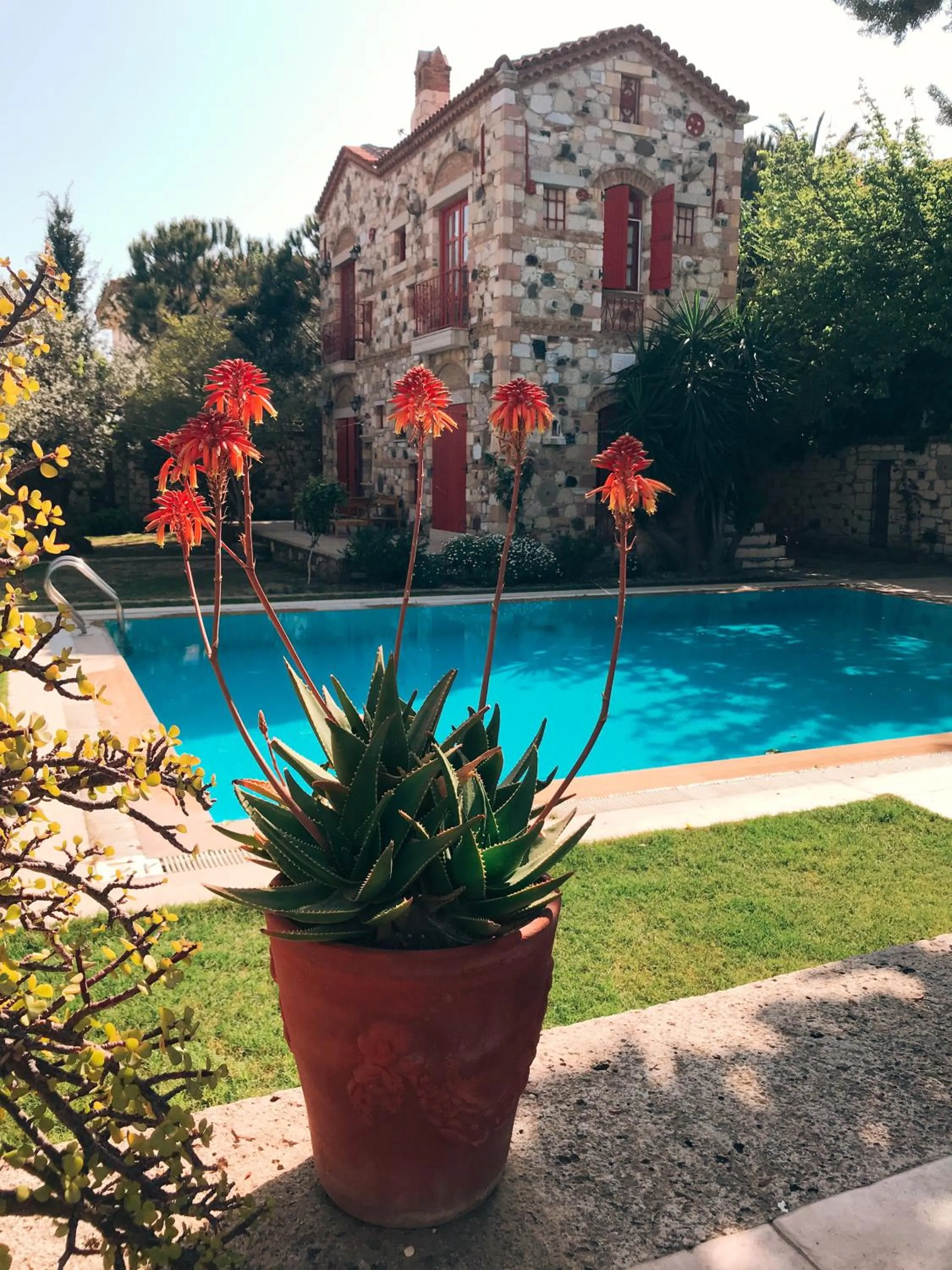 Garden in Alacati Zeytin Konak Hotel