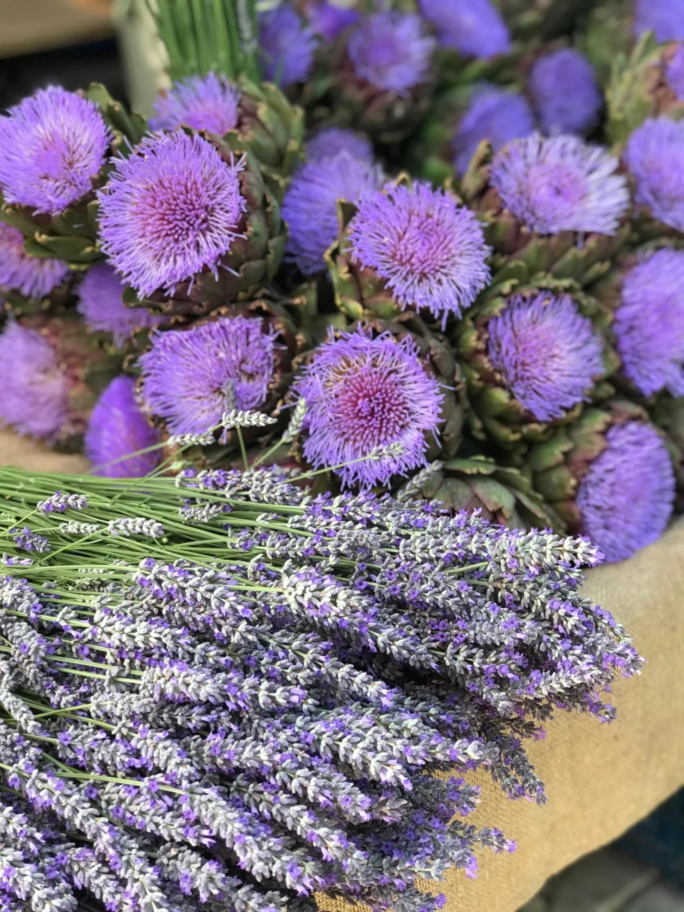 Decorative detail in Alacati Zeytin Konak Hotel