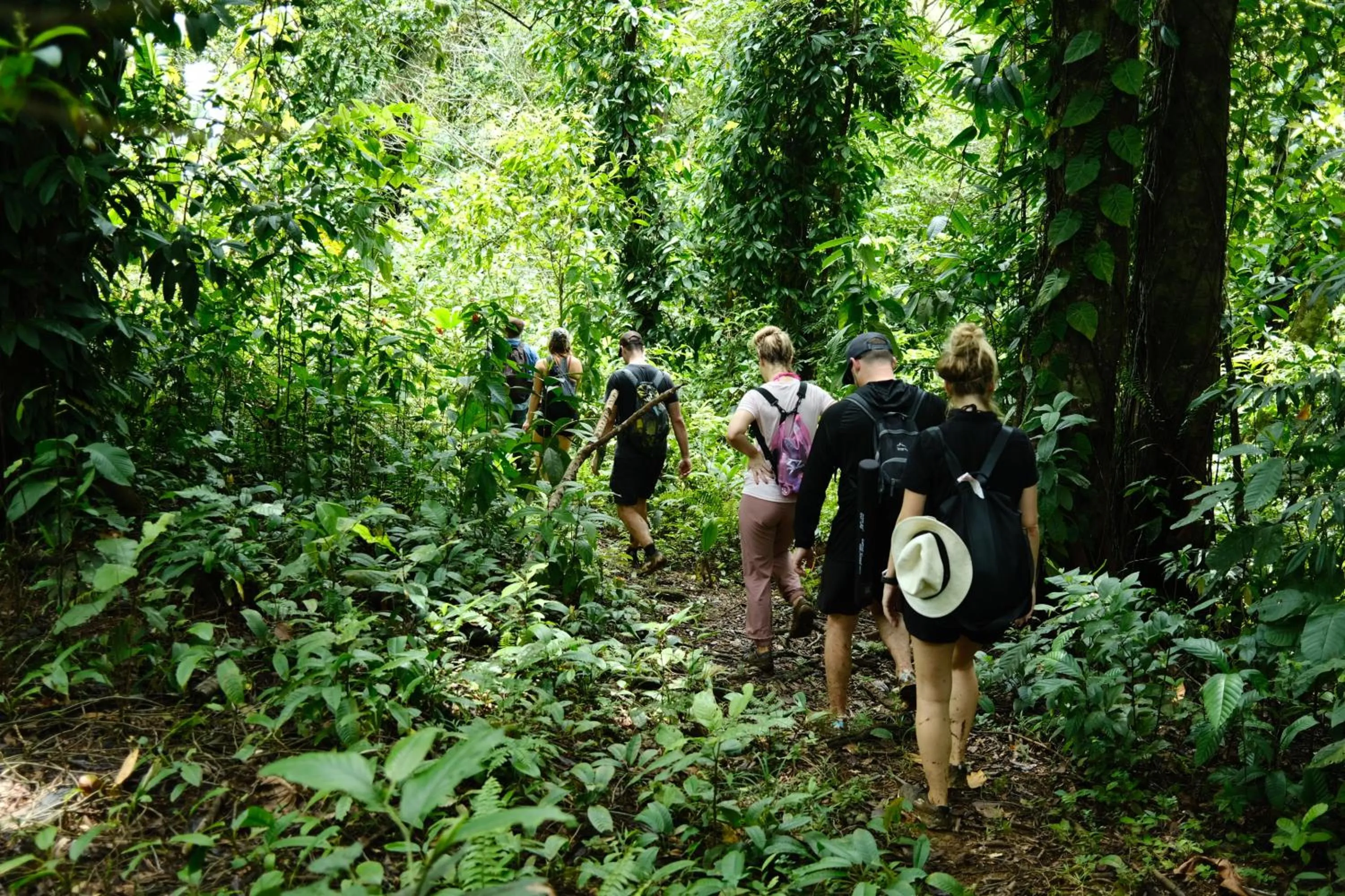 La Loma Jungle Lodge and Chocolate Farm