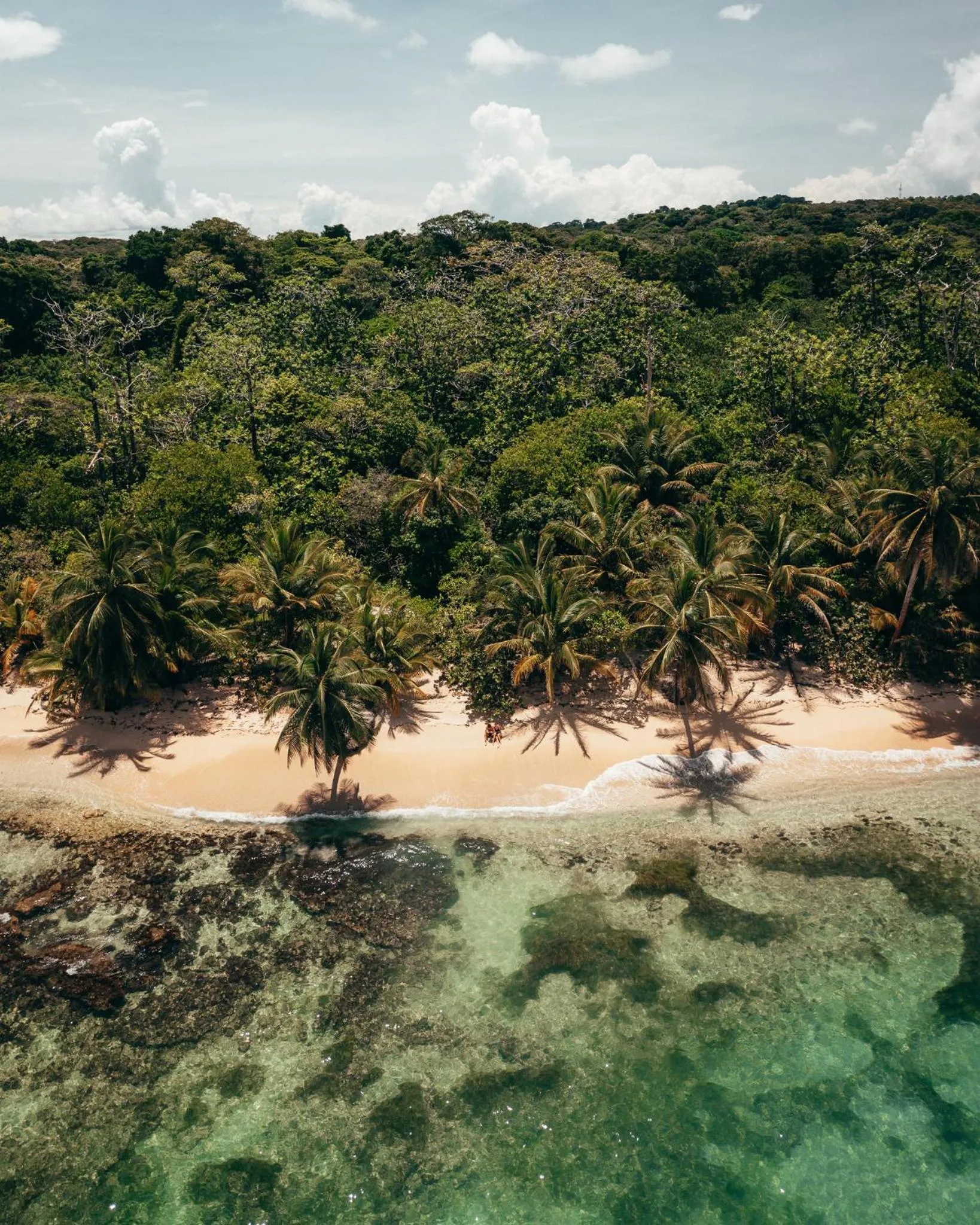 La Loma Jungle Lodge and Chocolate Farm