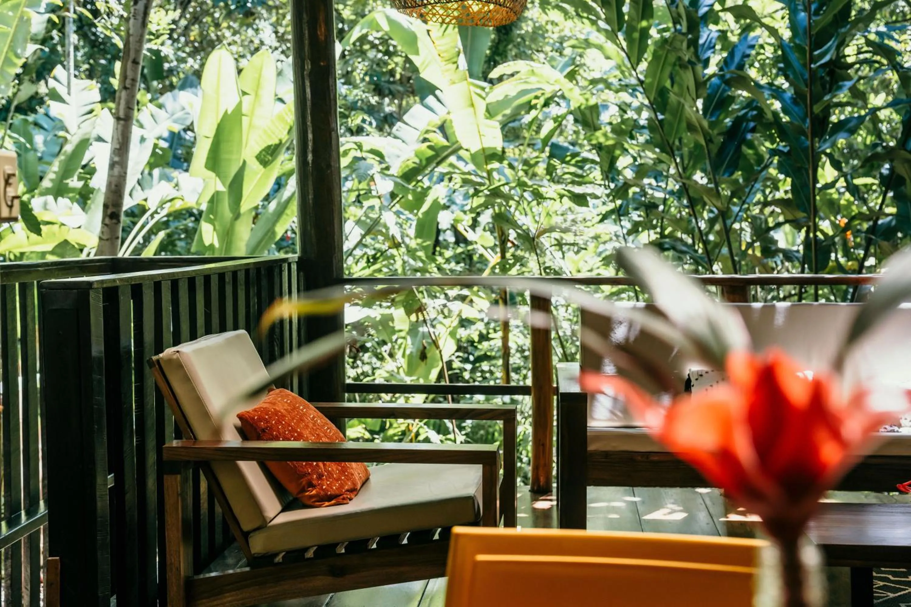 La Loma Jungle Lodge and Chocolate Farm