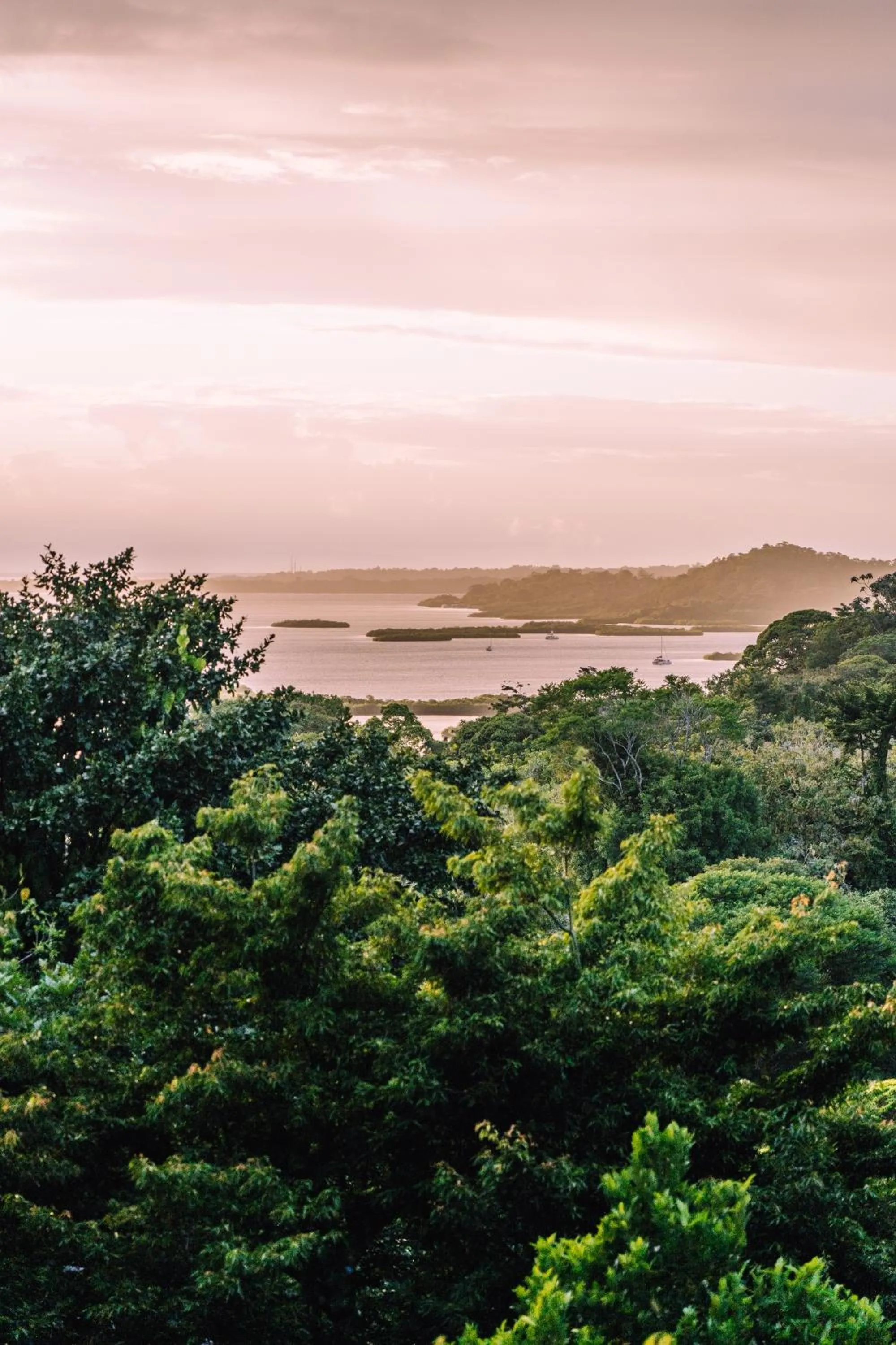 La Loma Jungle Lodge and Chocolate Farm