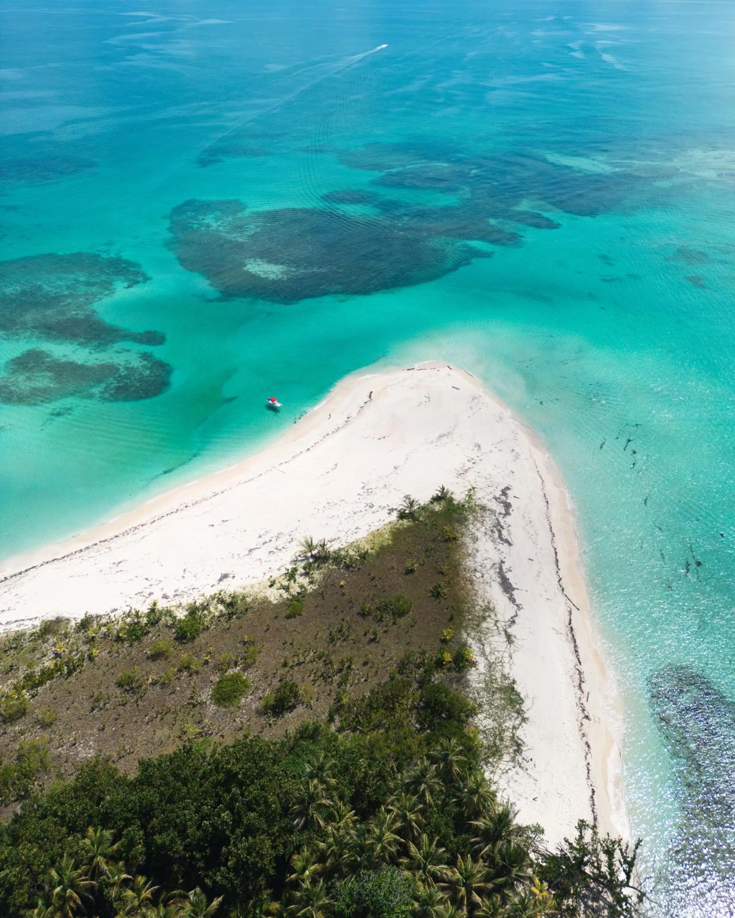 La Loma Jungle Lodge and Chocolate Farm