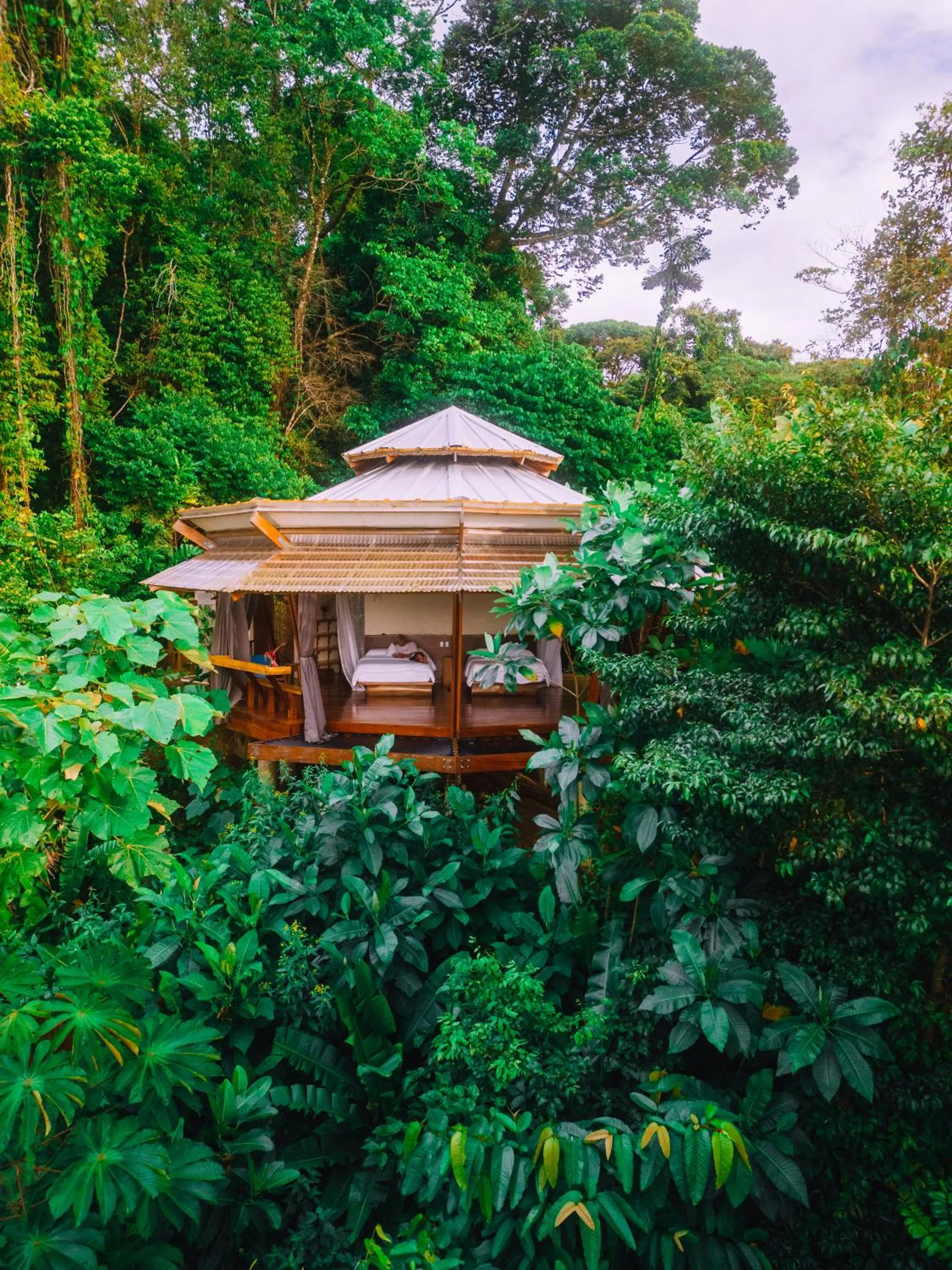 La Loma Jungle Lodge and Chocolate Farm