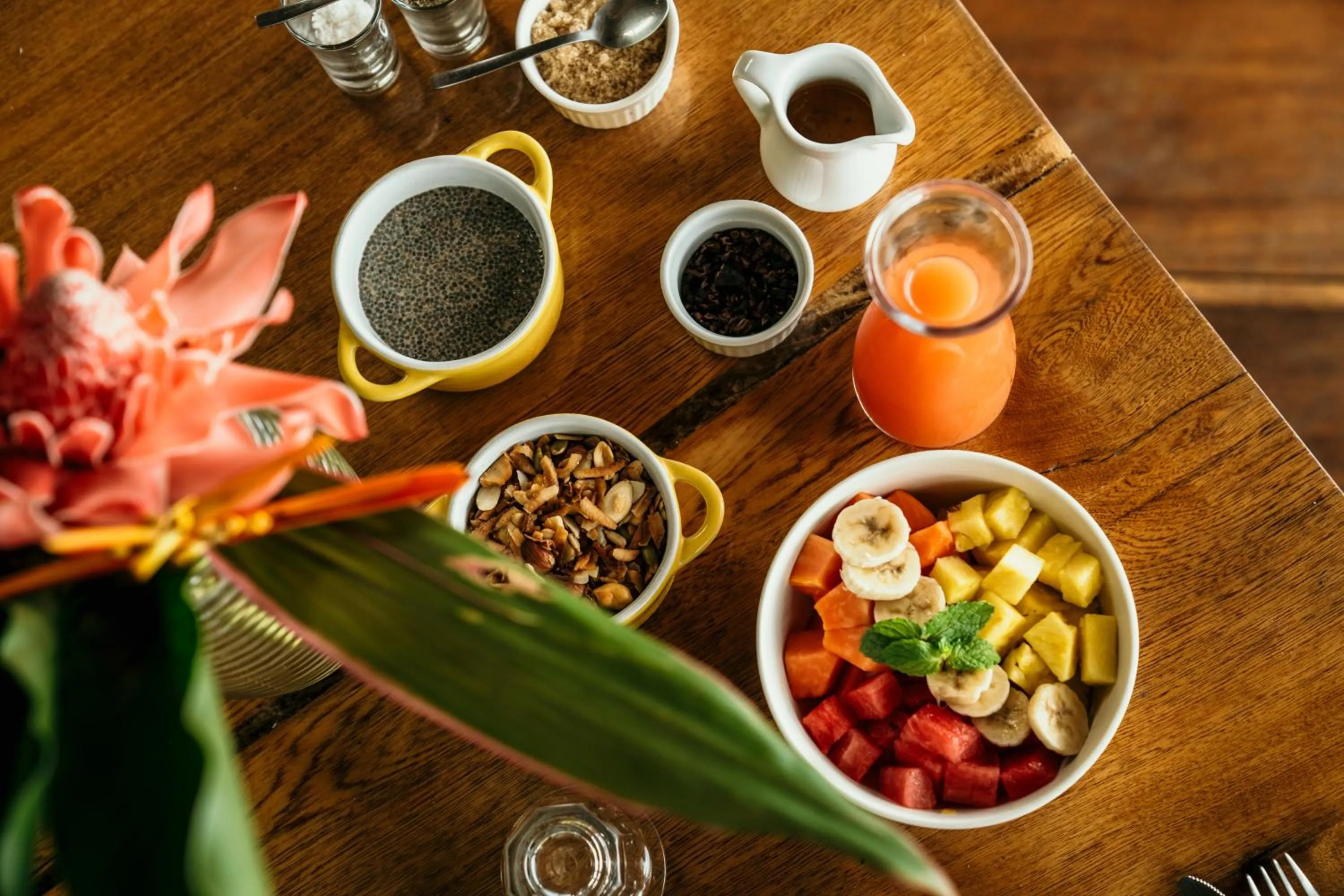 La Loma Jungle Lodge and Chocolate Farm