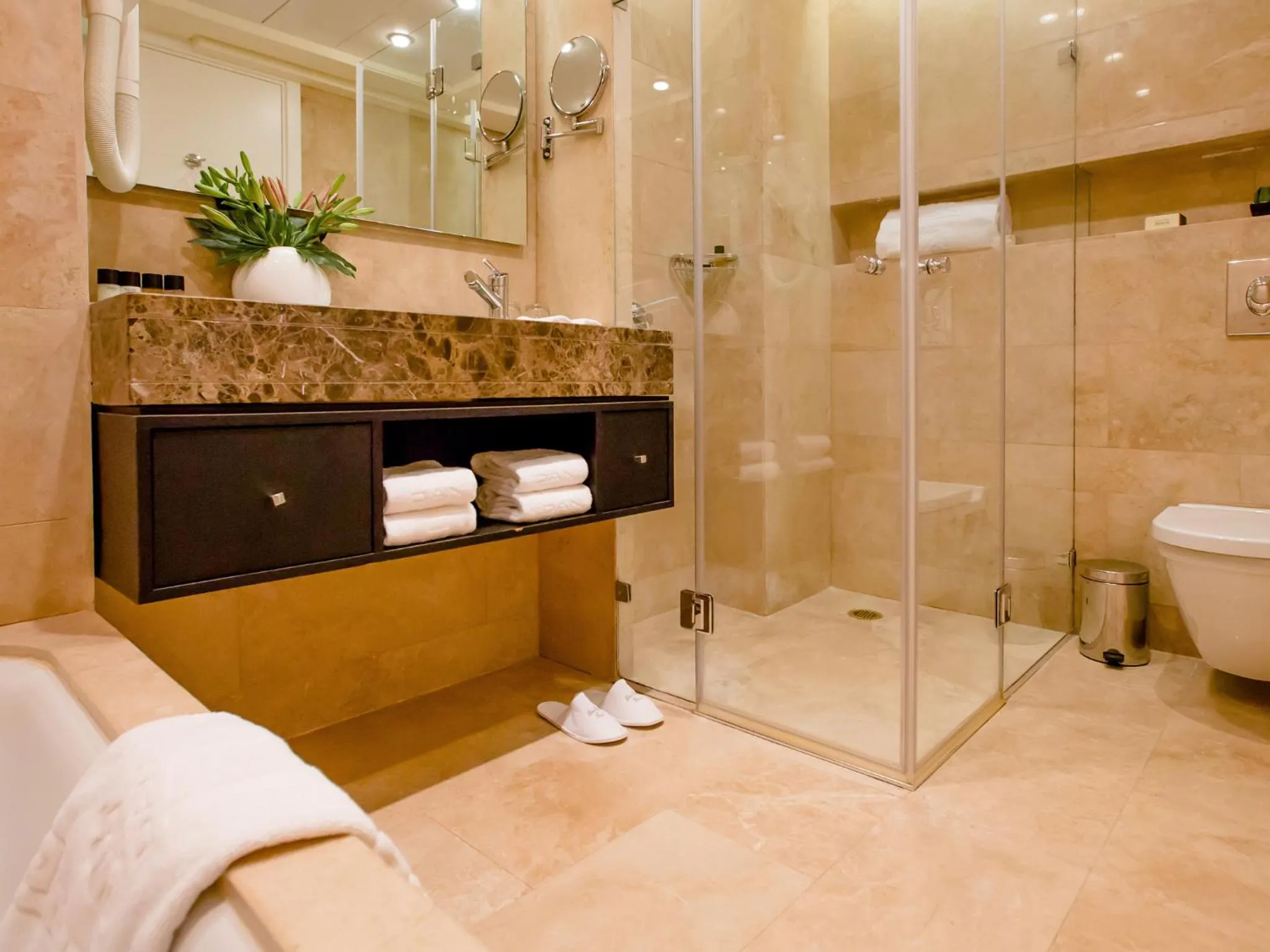 Shower in Dan Panorama Jerusalem Hotel