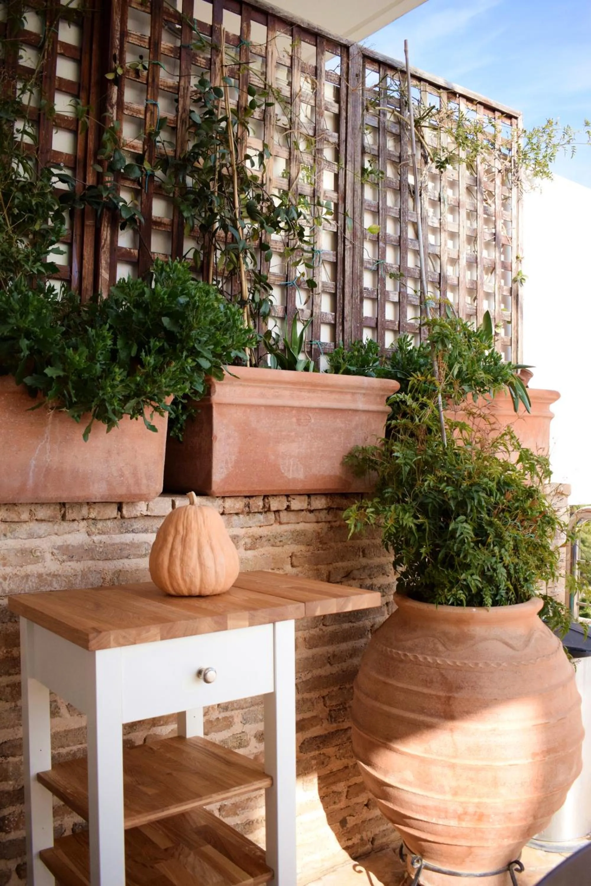 Balcony/Terrace in Panorama Penthouse & Studios