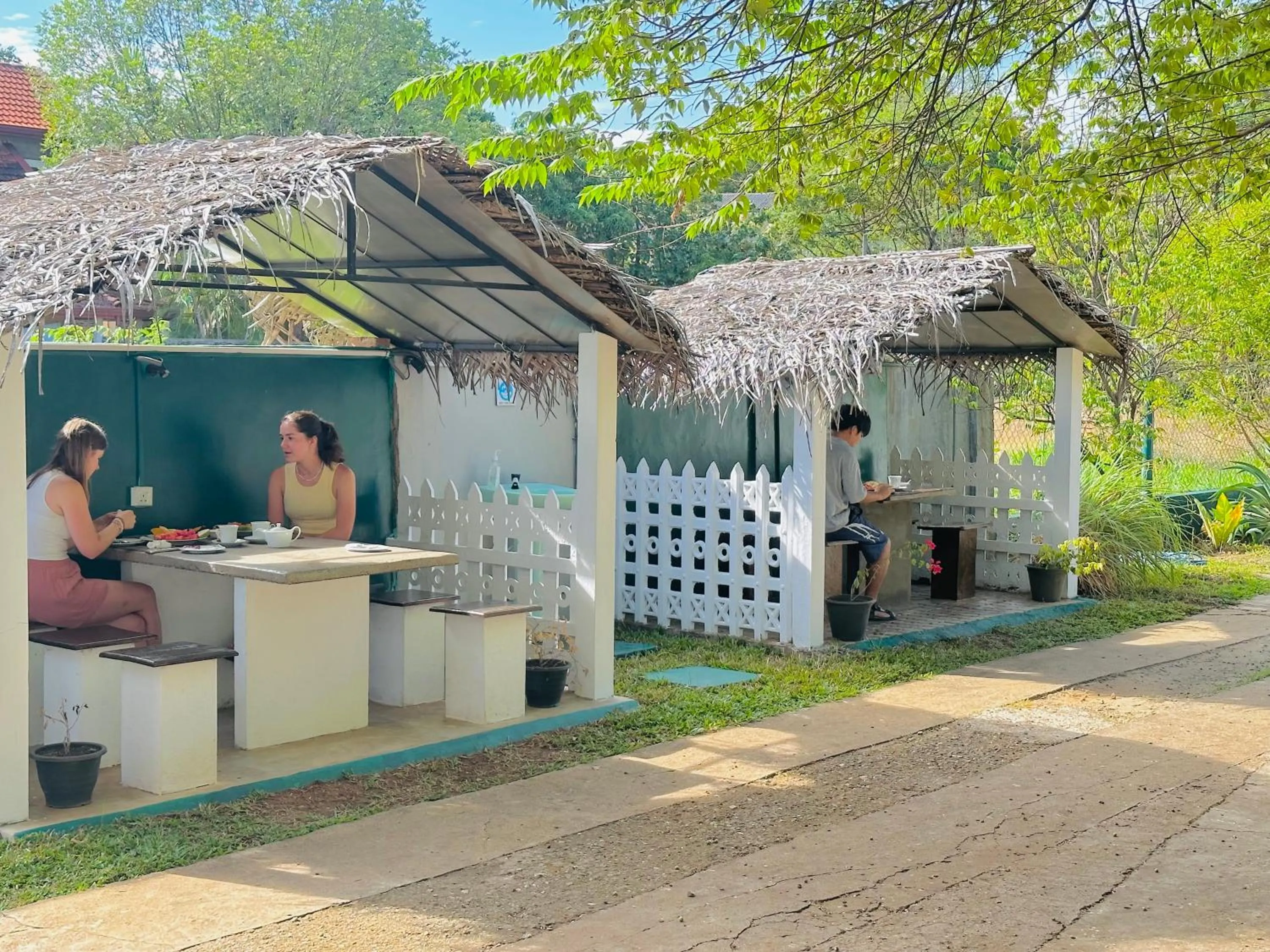 Day in New Peacock Resort