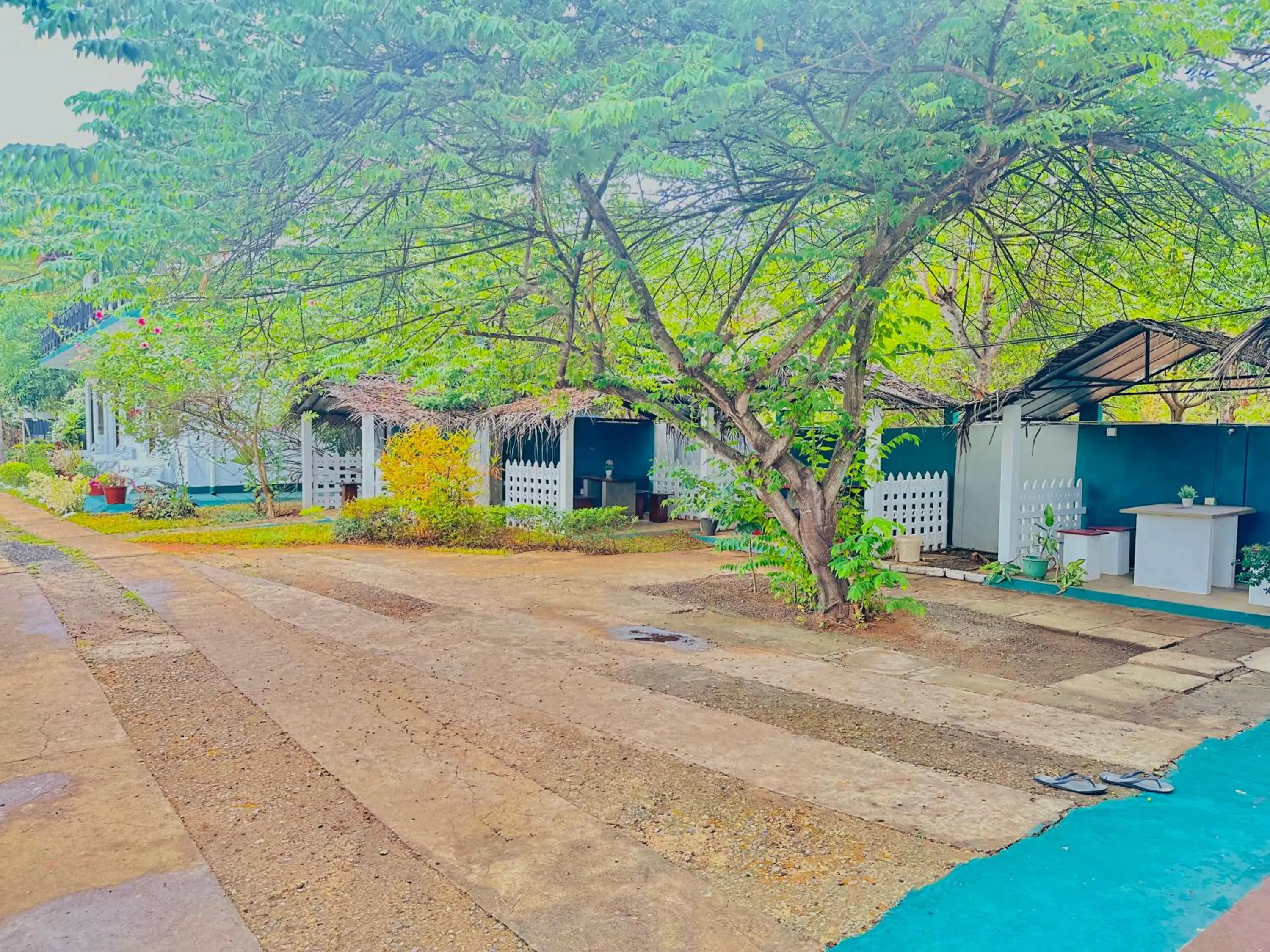 Day in New Peacock Resort