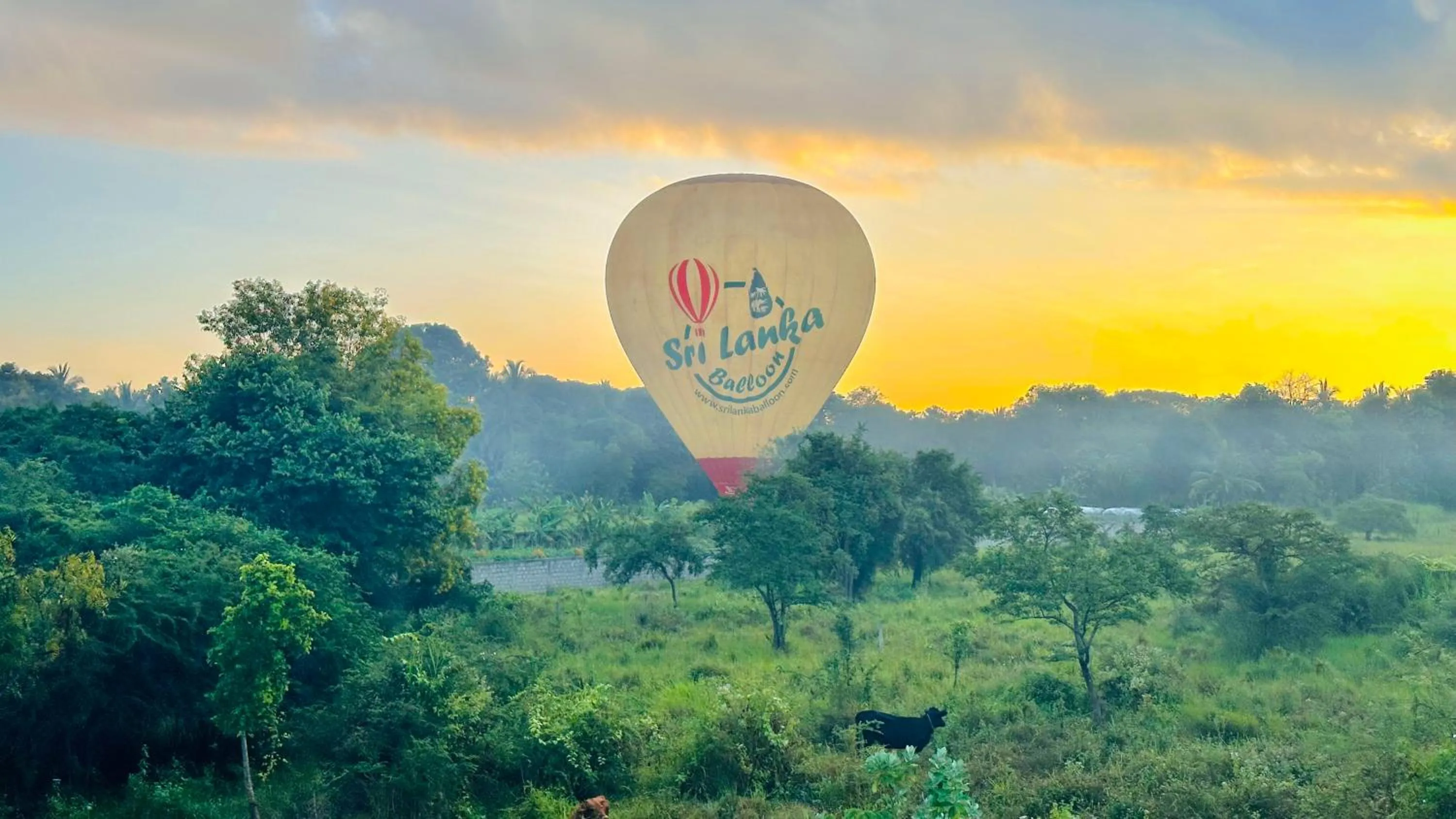 Day in New Peacock Resort