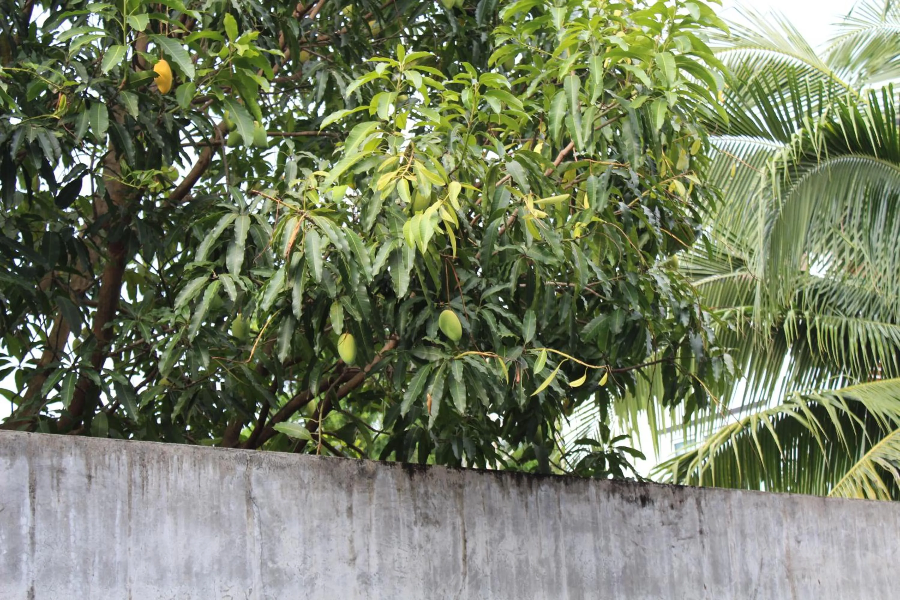 Garden in B Happy Resort - SHA ExtraPlus