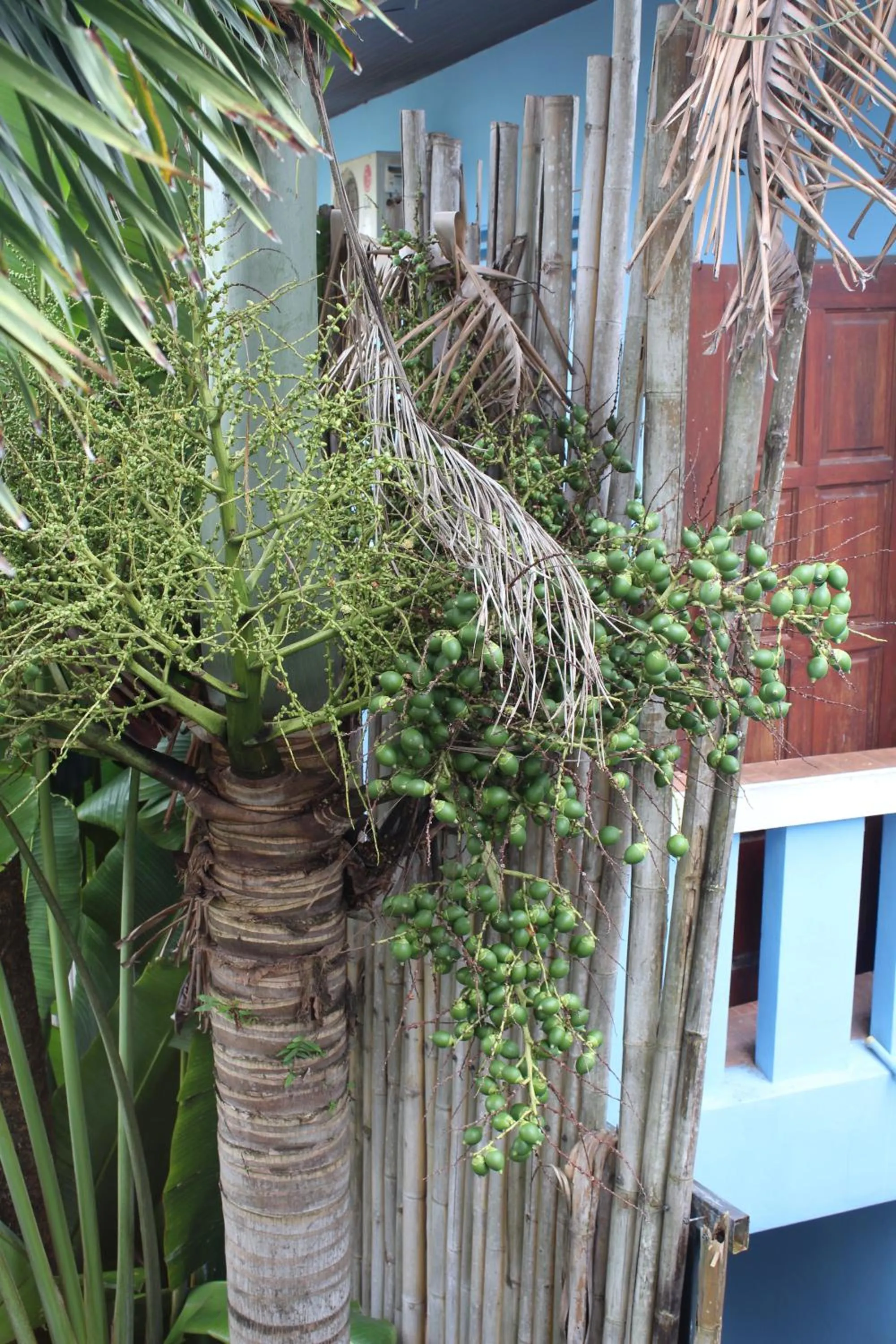 Other in B Happy Resort - SHA ExtraPlus