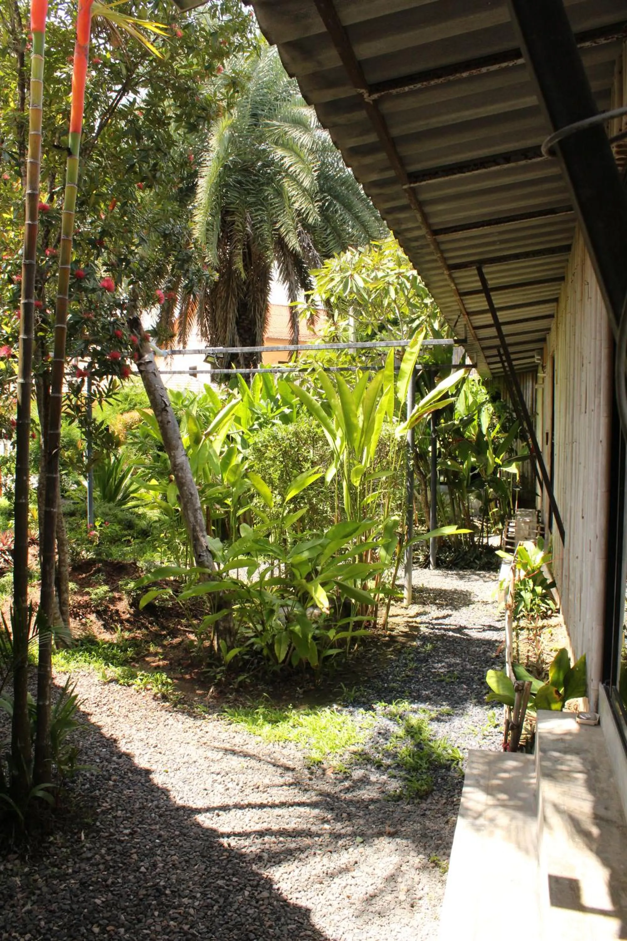 Garden view in B Happy Resort - SHA ExtraPlus