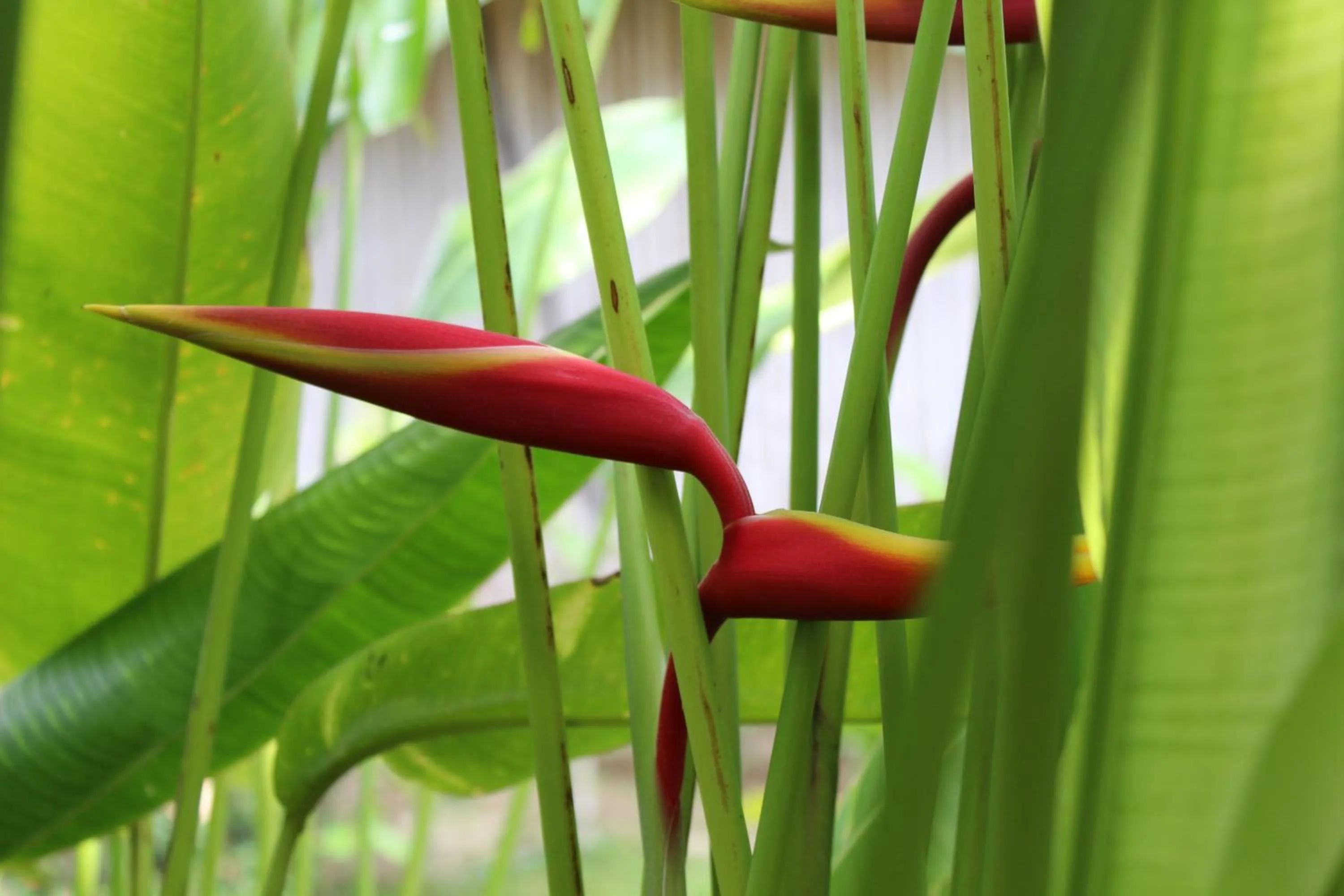 Garden in B Happy Resort - SHA ExtraPlus