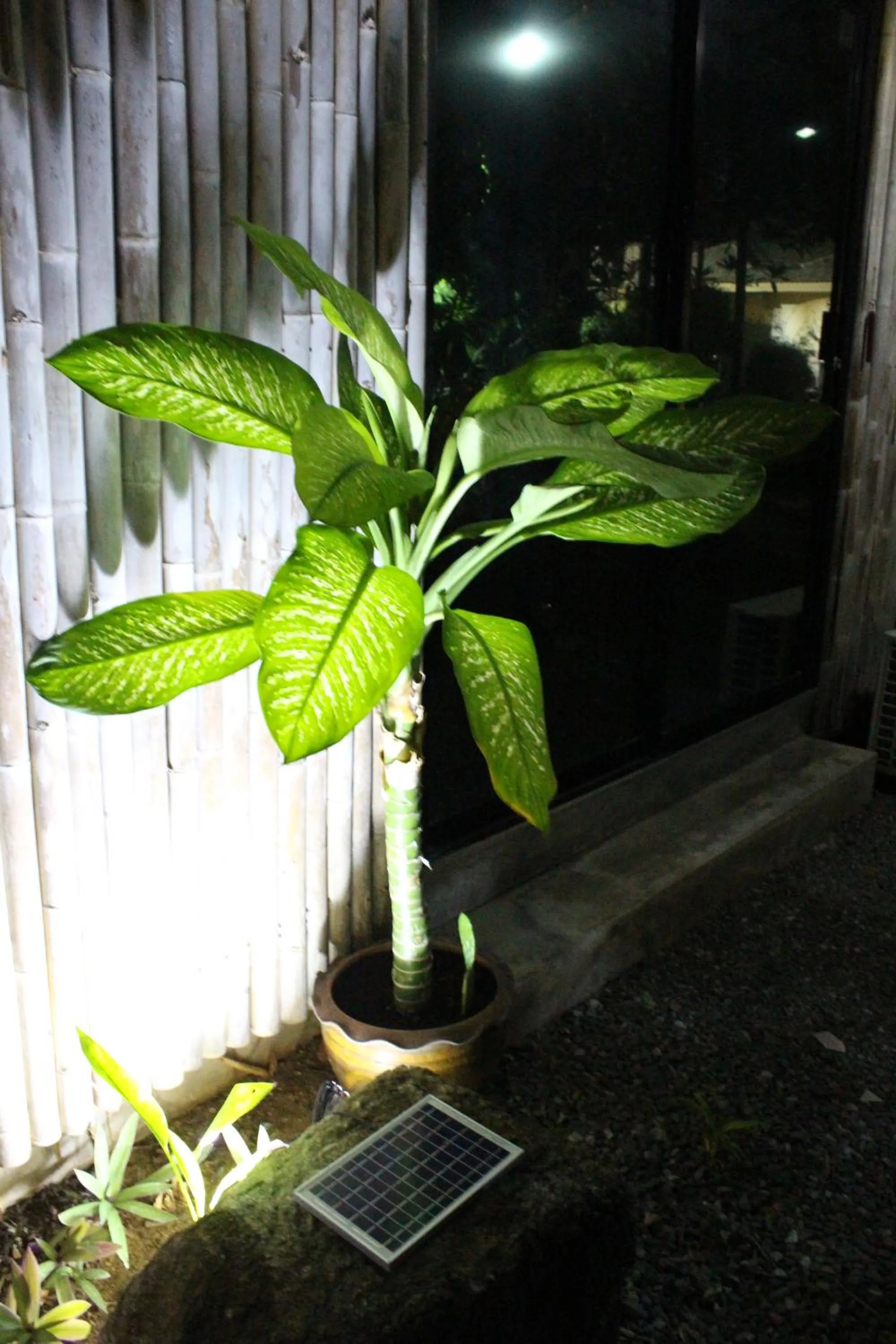 Garden in B Happy Resort - SHA ExtraPlus