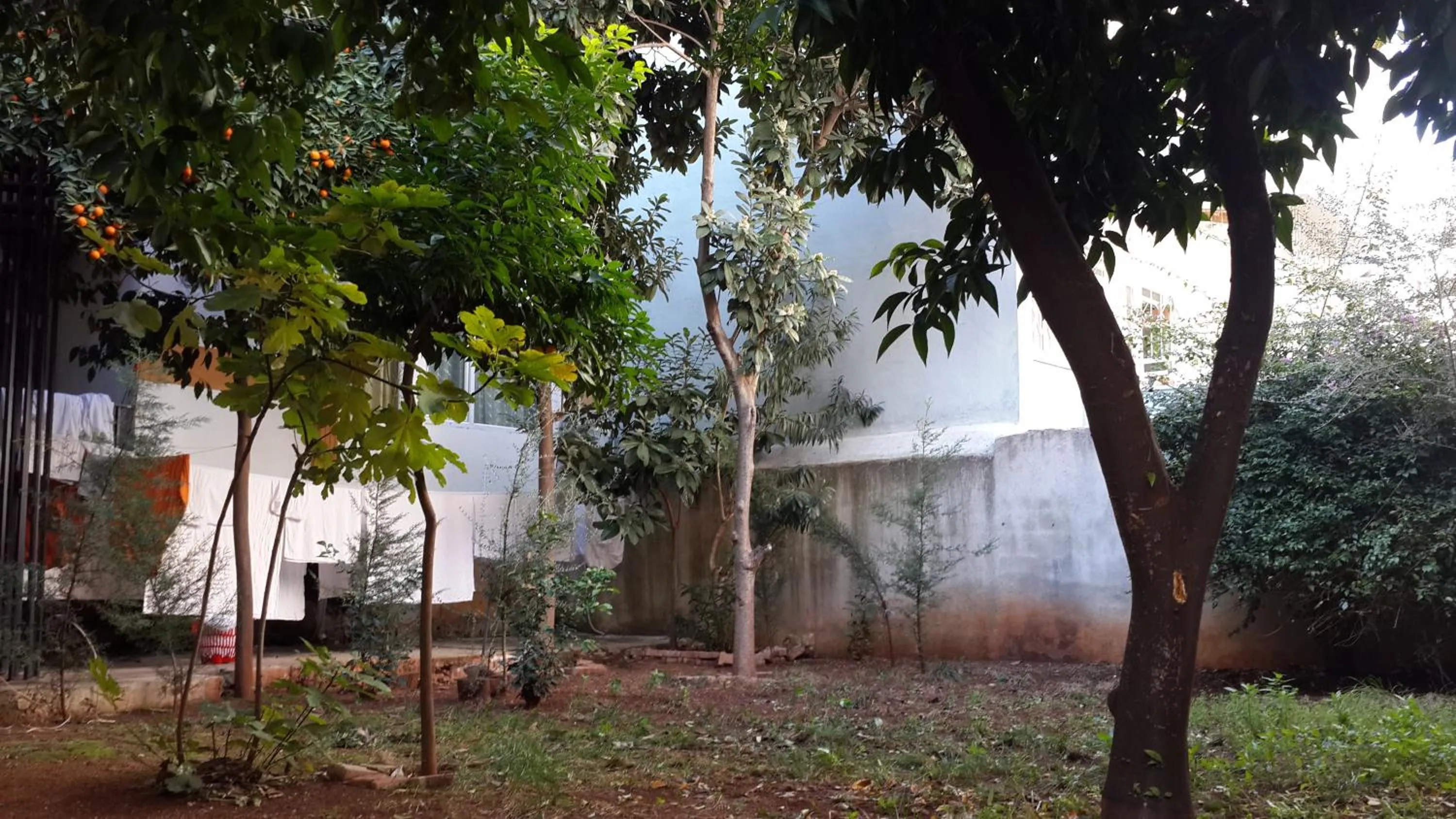 Garden in Uyar Palace