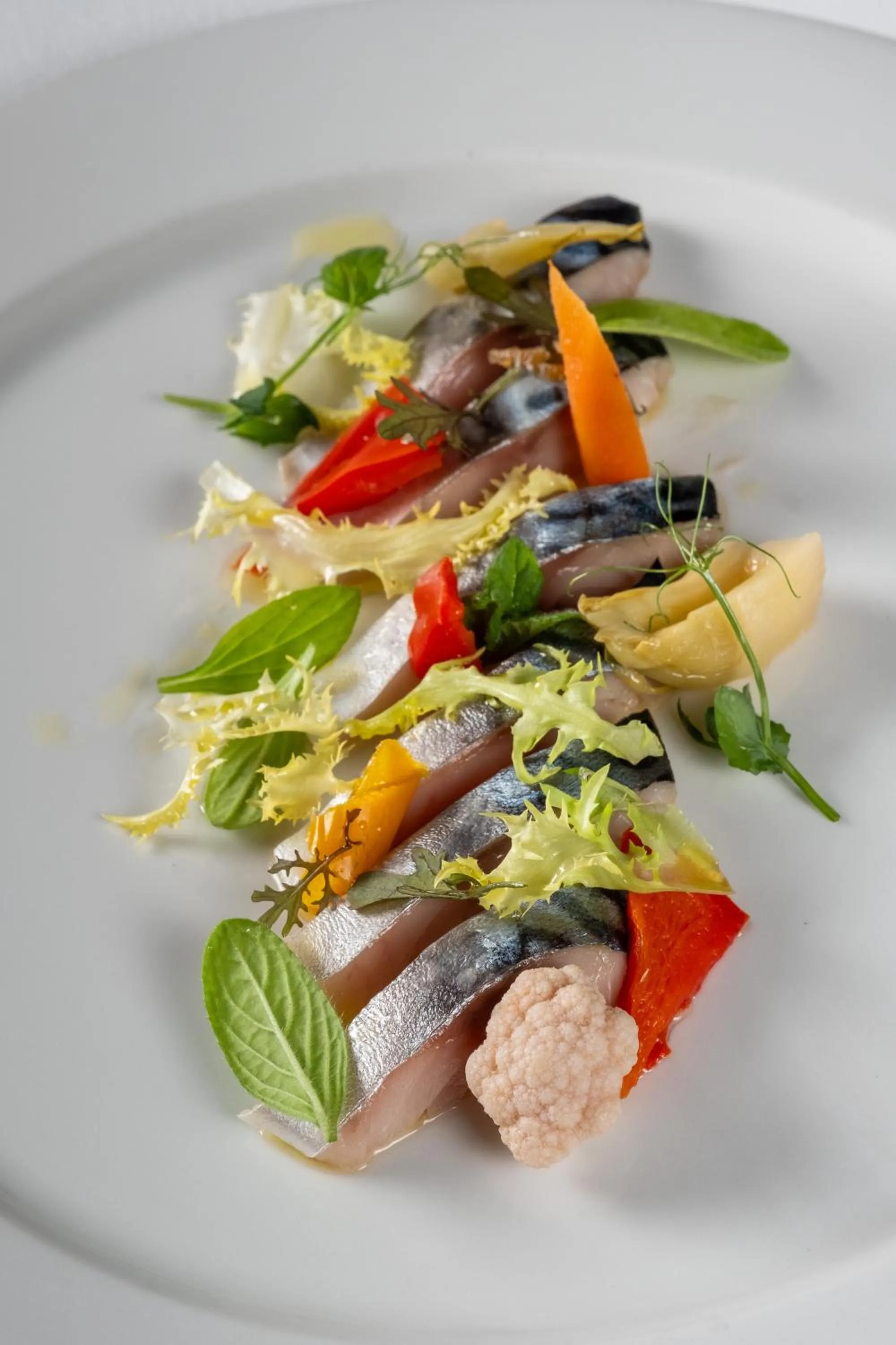 Dinner in Palazzo Ducale Venturi - Luxury Hotel & Wellness