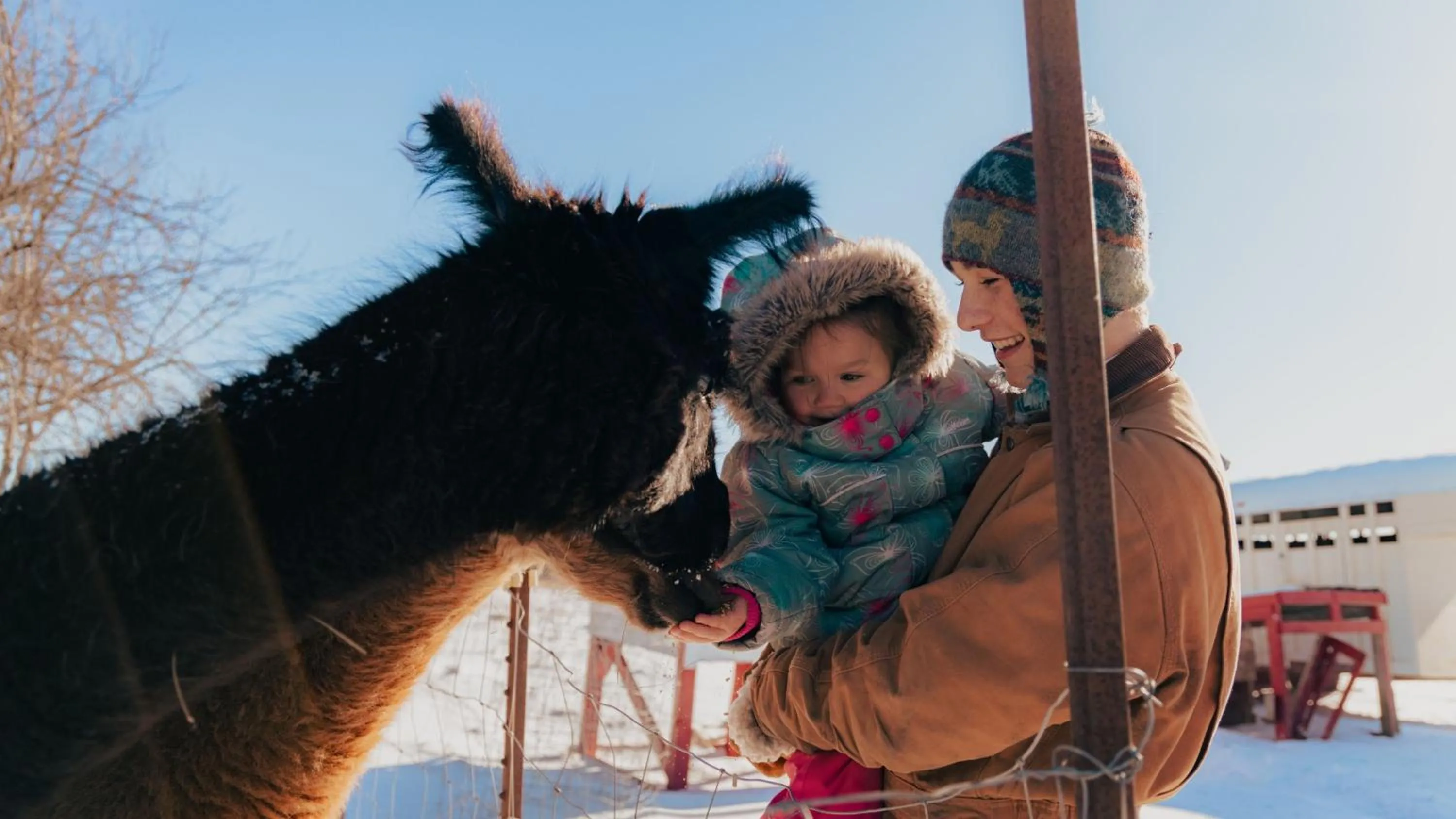 Nearby landmark in Crowne Plaza Hotel Moncton Downtown by IHG