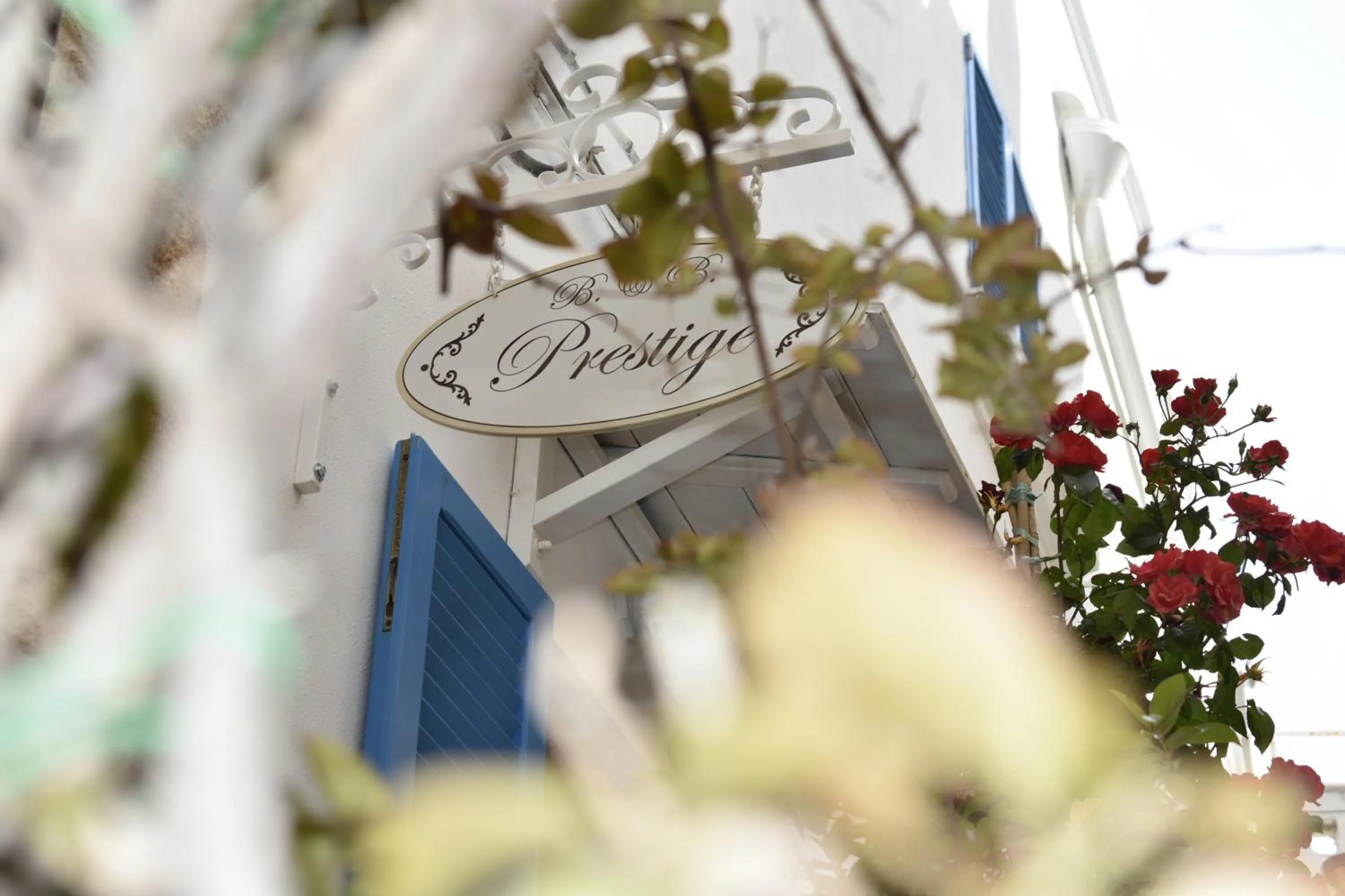 Property building in B&B Prestige