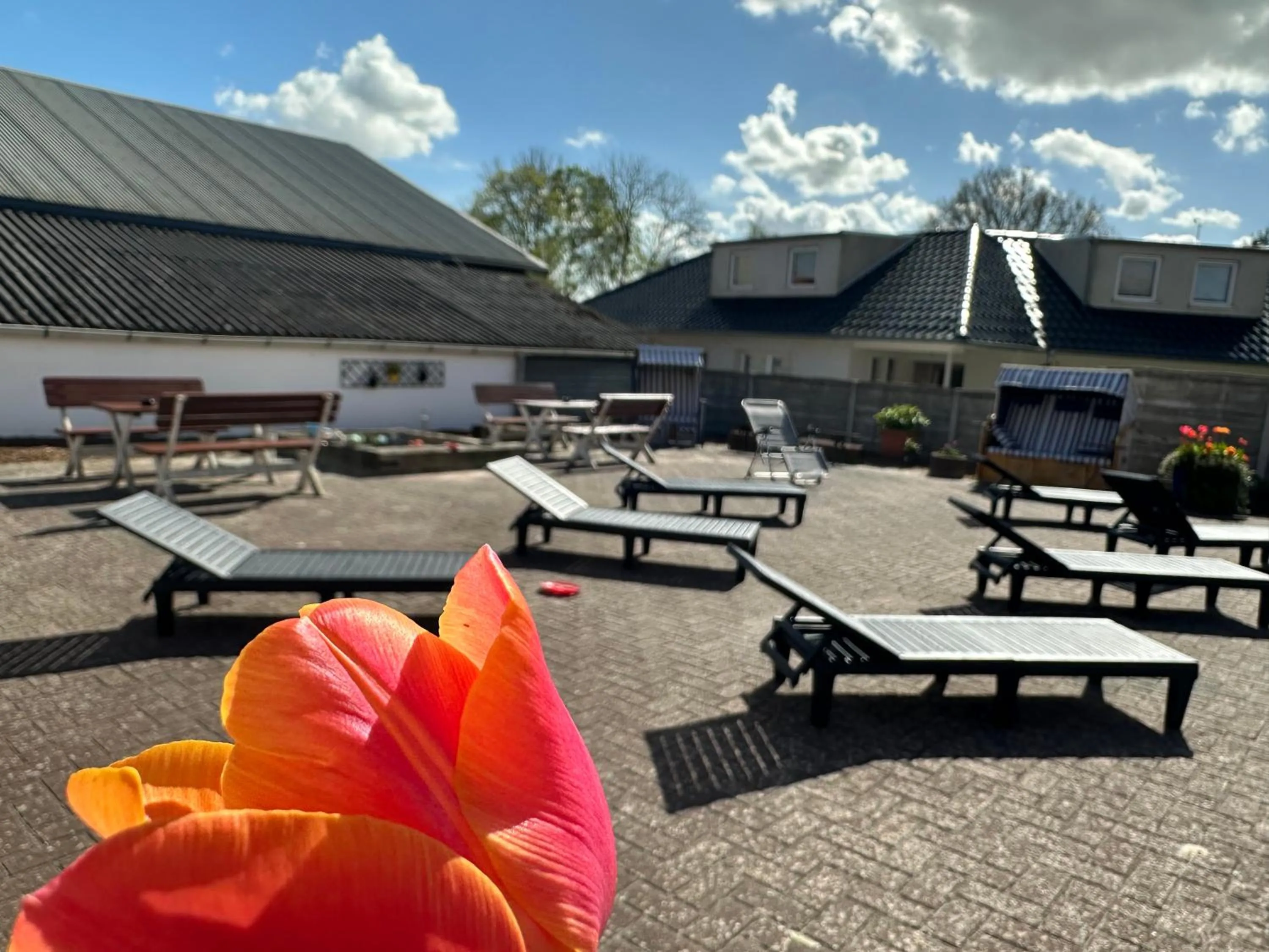 Balcony/Terrace in Hof von Oldenburg