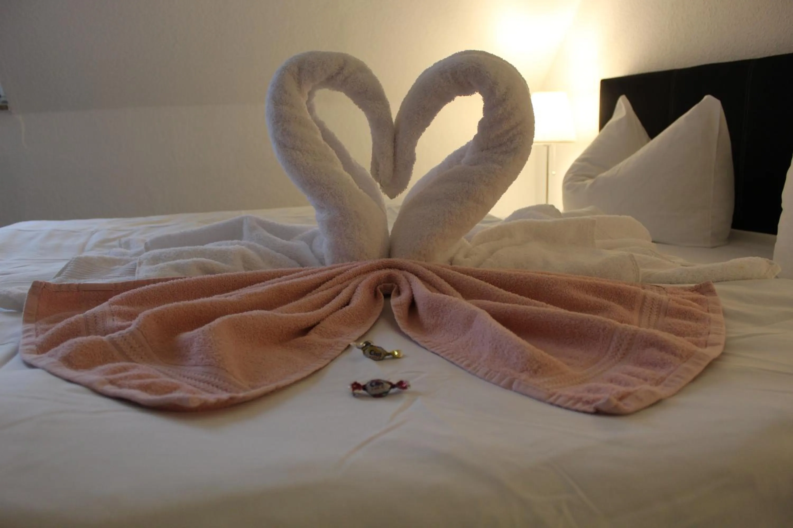 Animals, Bed in Hof von Oldenburg