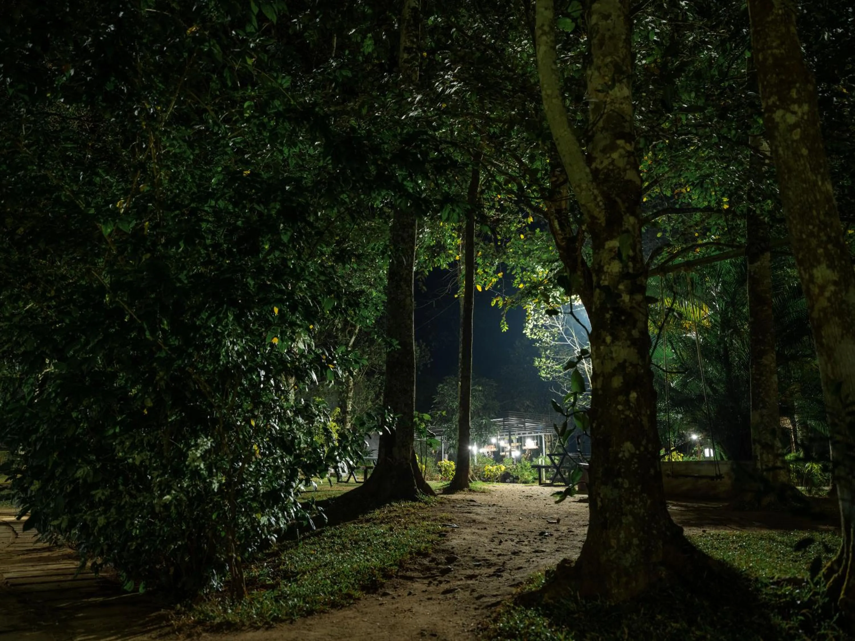 Garden view in The Mountain Courtyard Thekkady