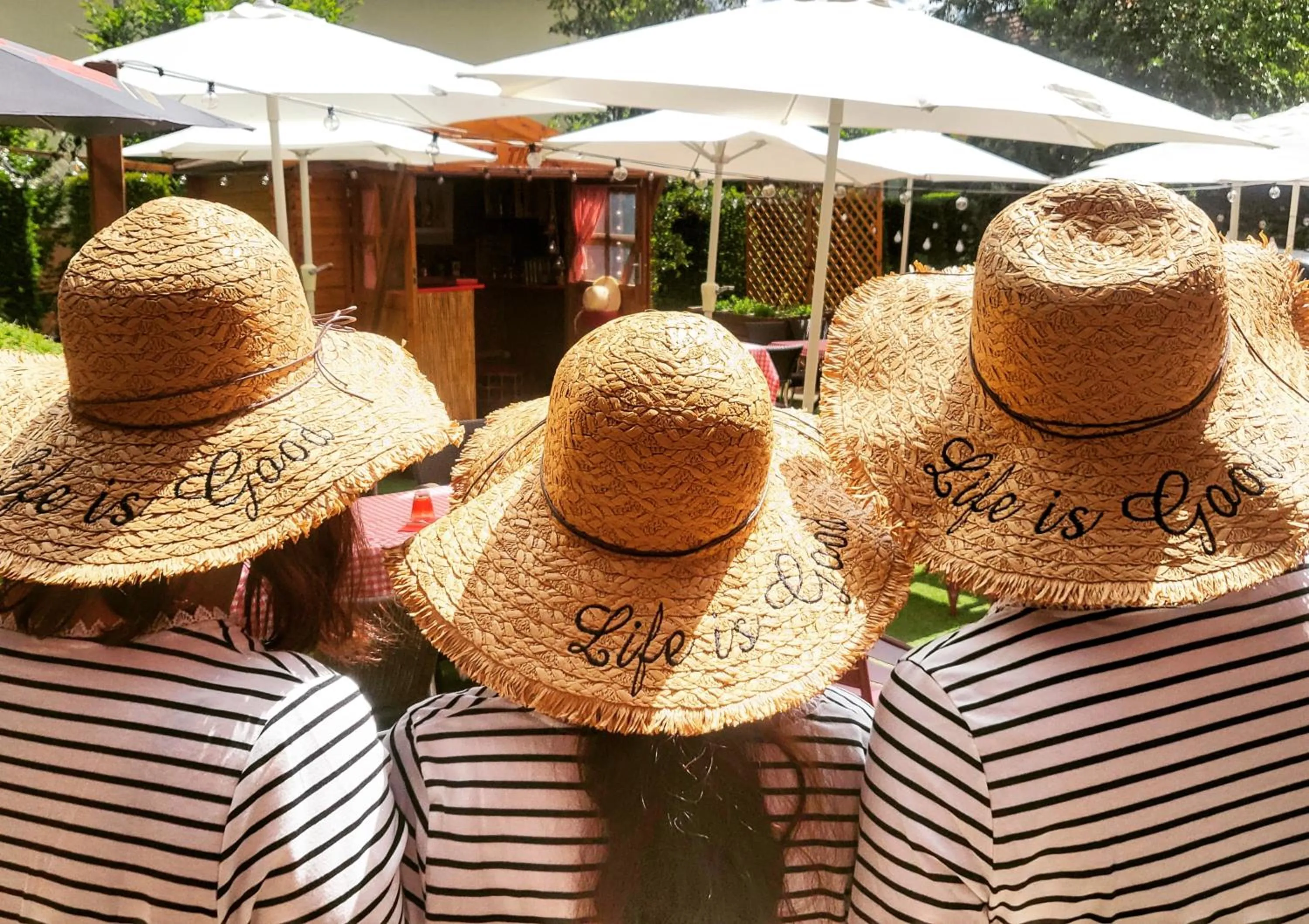 Balcony/Terrace in Hotel Restaurant Aux Sapins