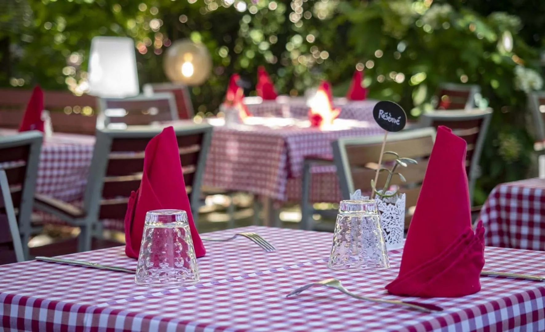 Garden in Hotel Restaurant Aux Sapins