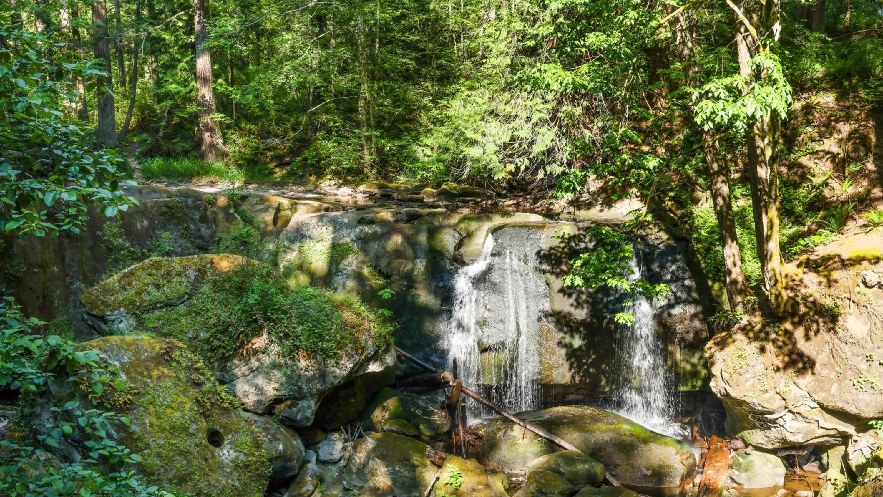 Area and facilities in Holiday Inn Express Bellingham by IHG