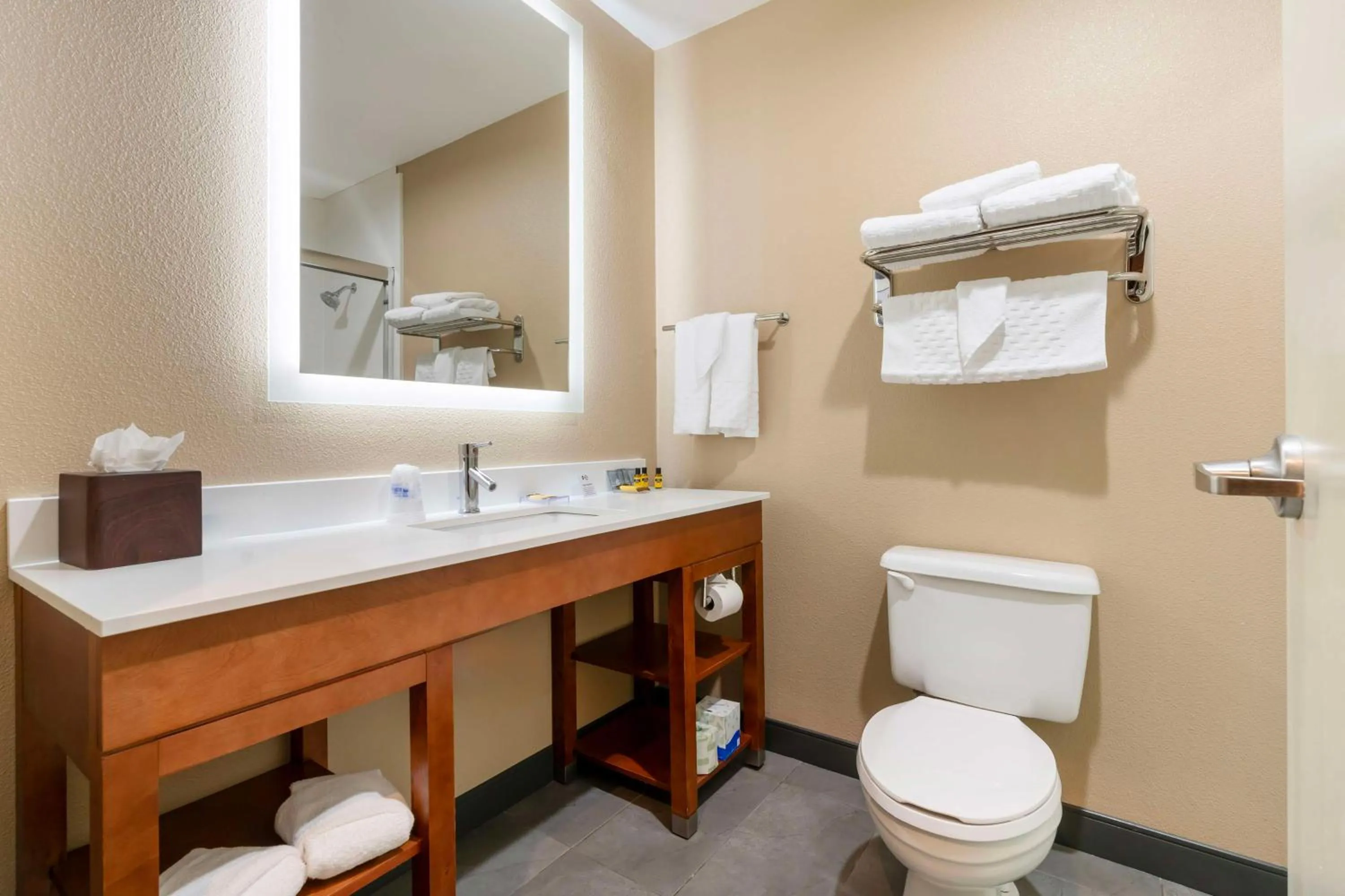 Bathroom in Best Western Bend North