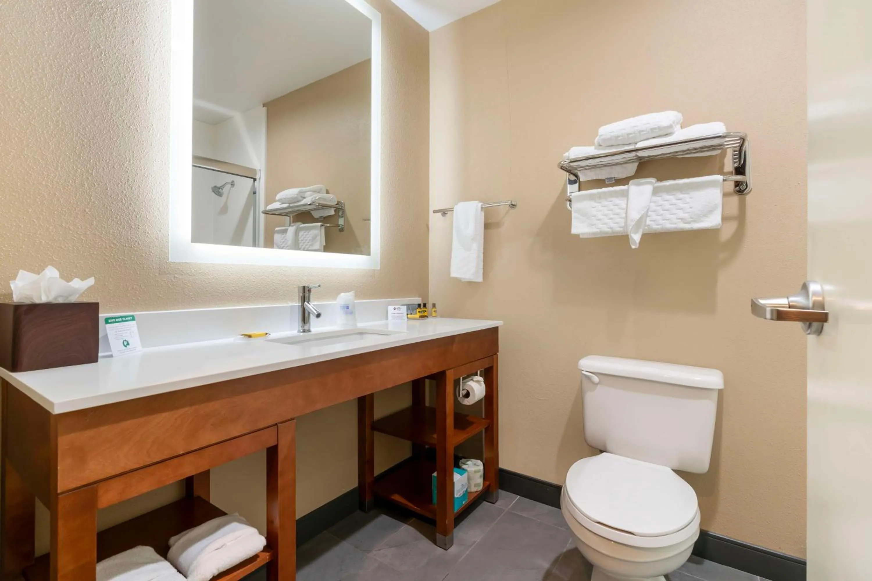 Bathroom in Best Western Bend North